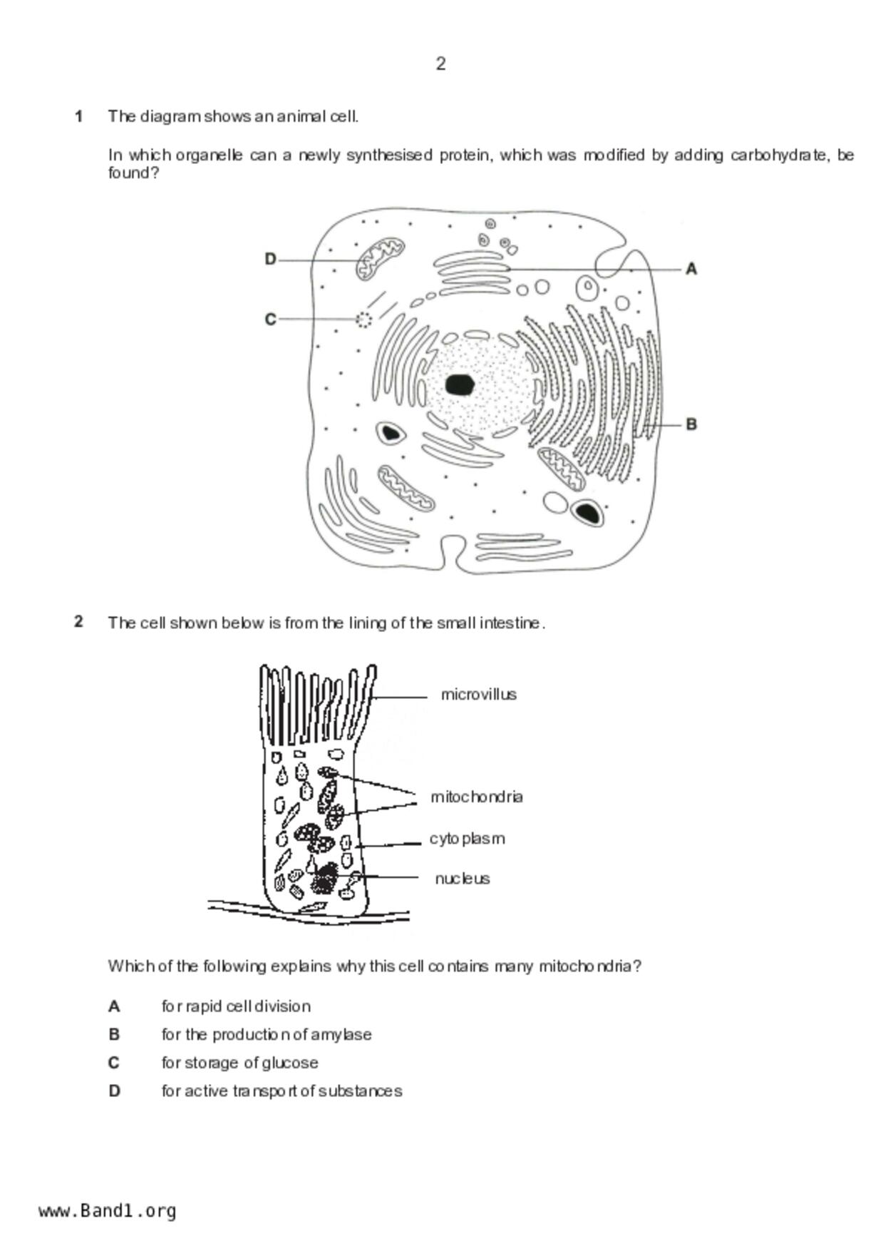 S5Pure Biology試卷