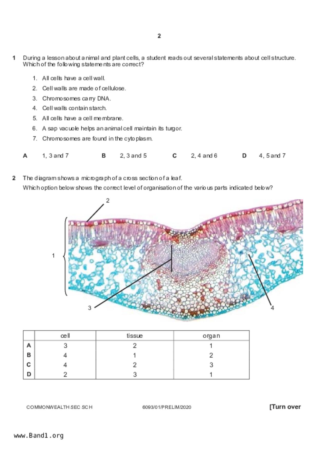 S5Pure Biology試卷