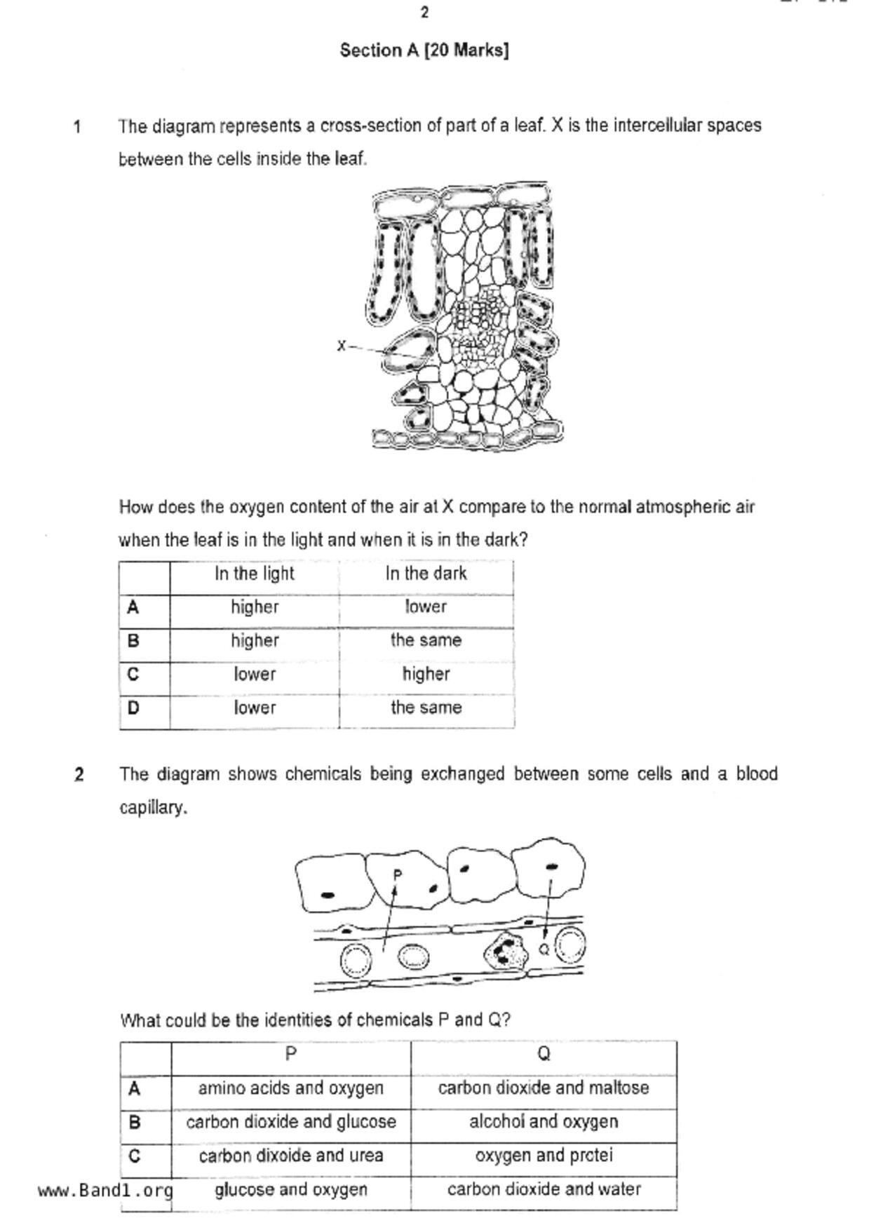 S2Science試卷