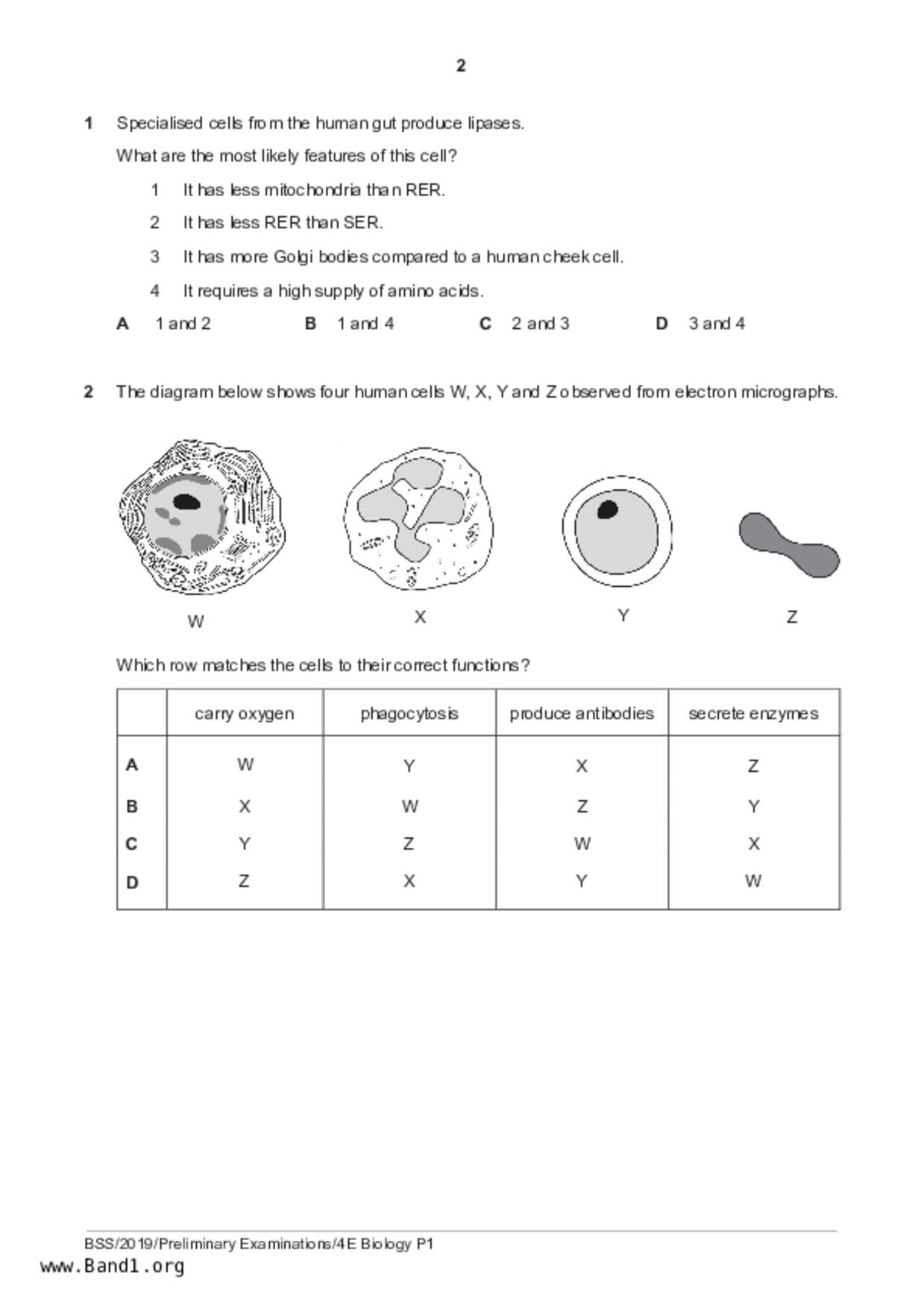 S5Pure Biology試卷