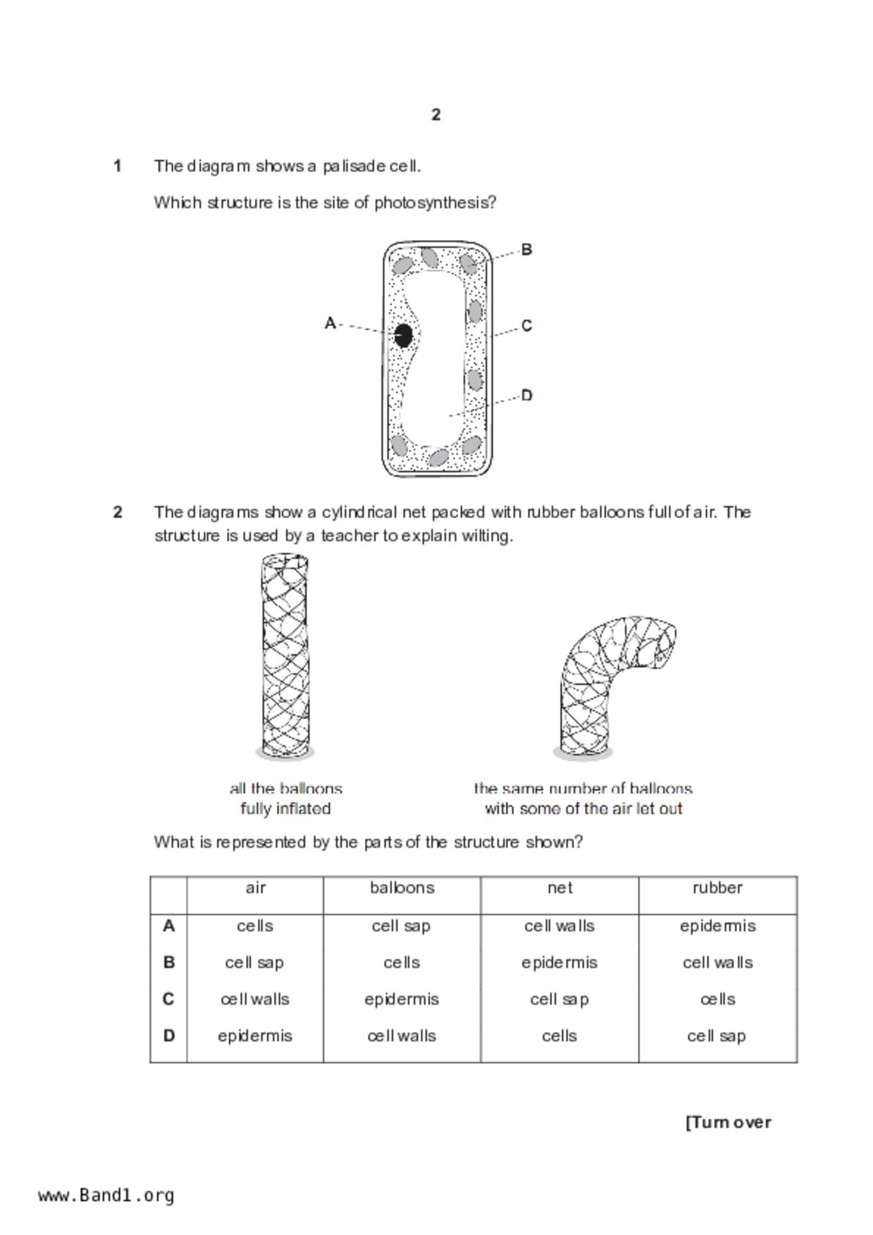 S5Pure Biology試卷