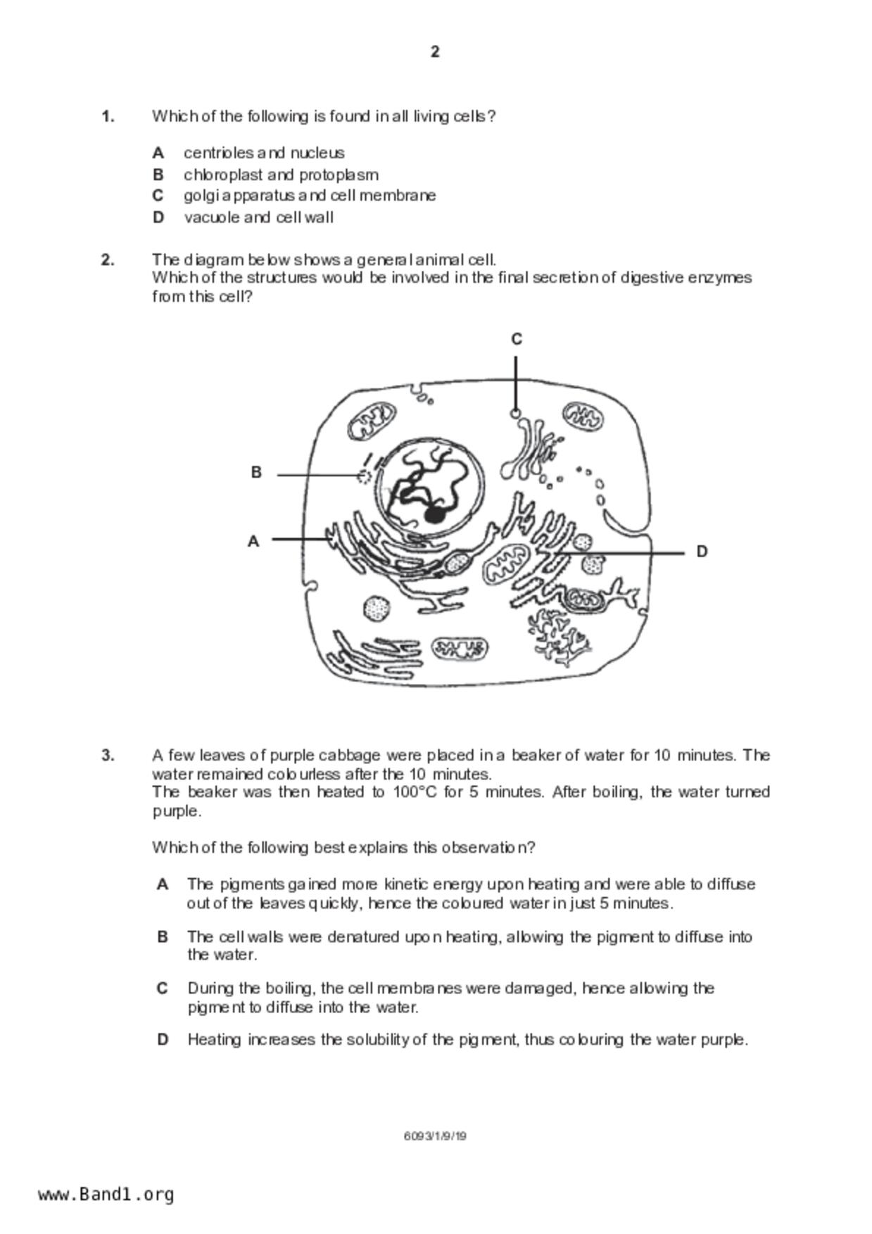 S5Pure Biology試卷
