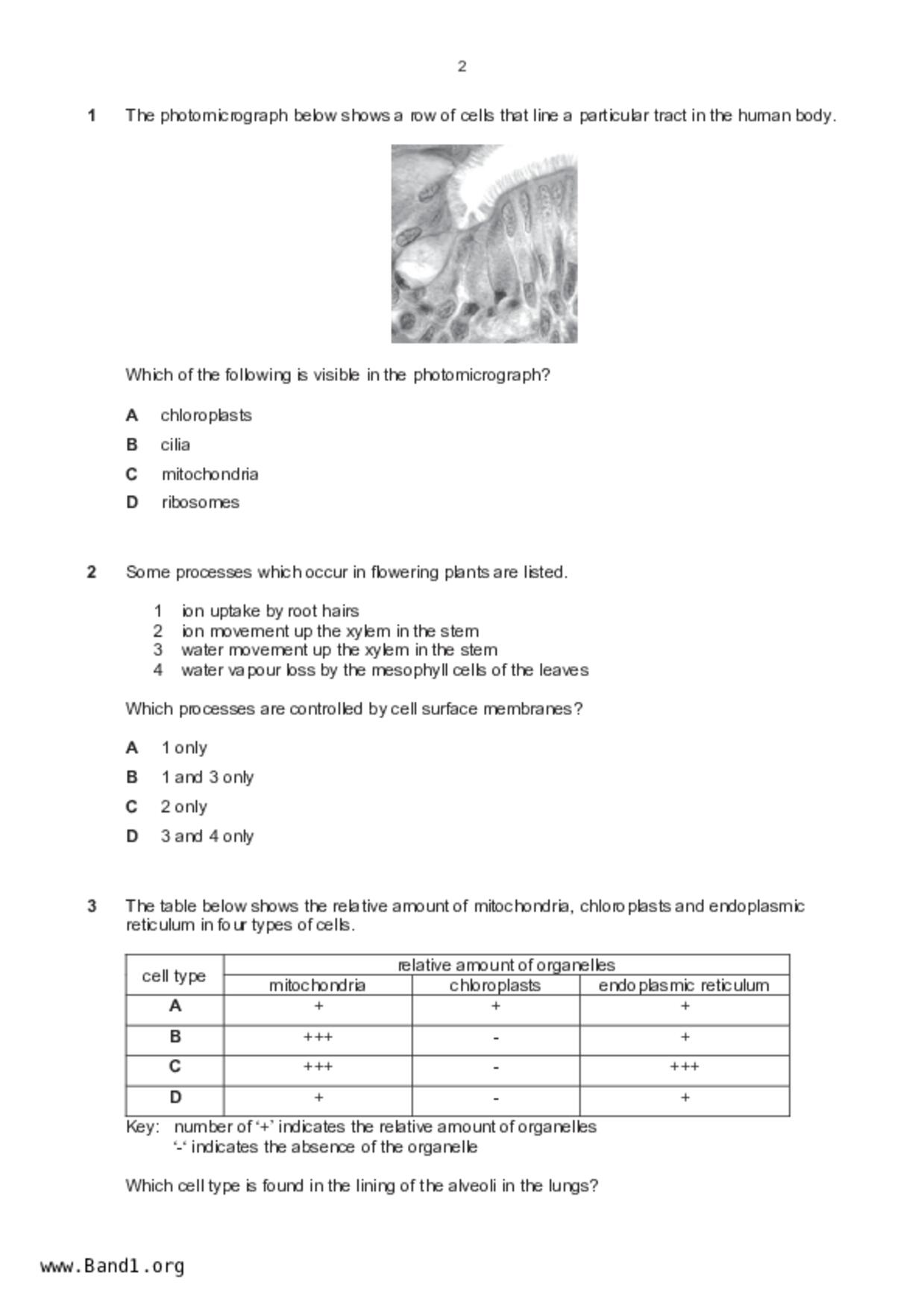 S5Pure Biology試卷