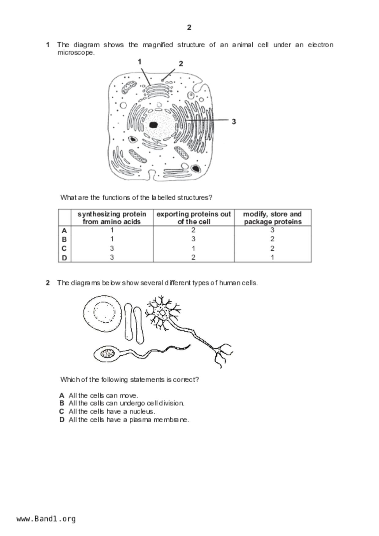 S5Pure Biology試卷