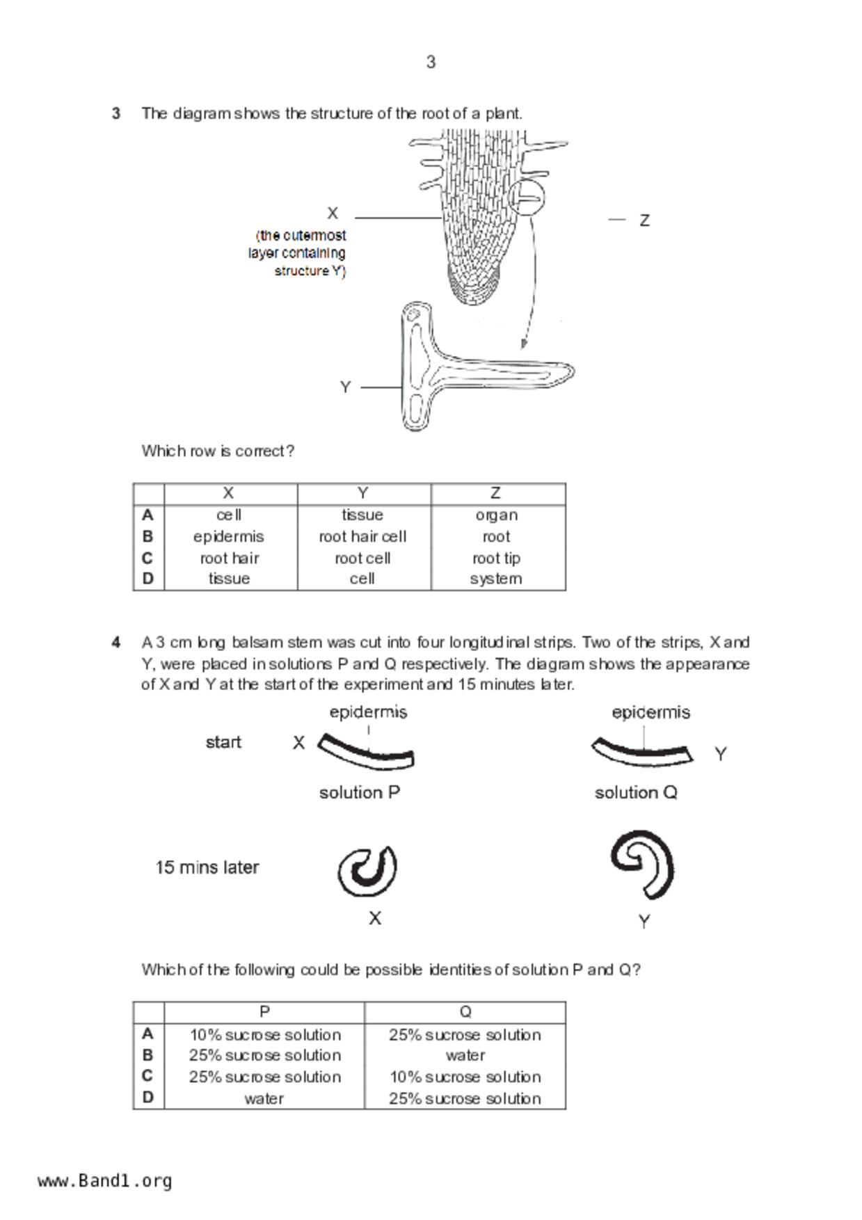 S5Pure Biology試卷