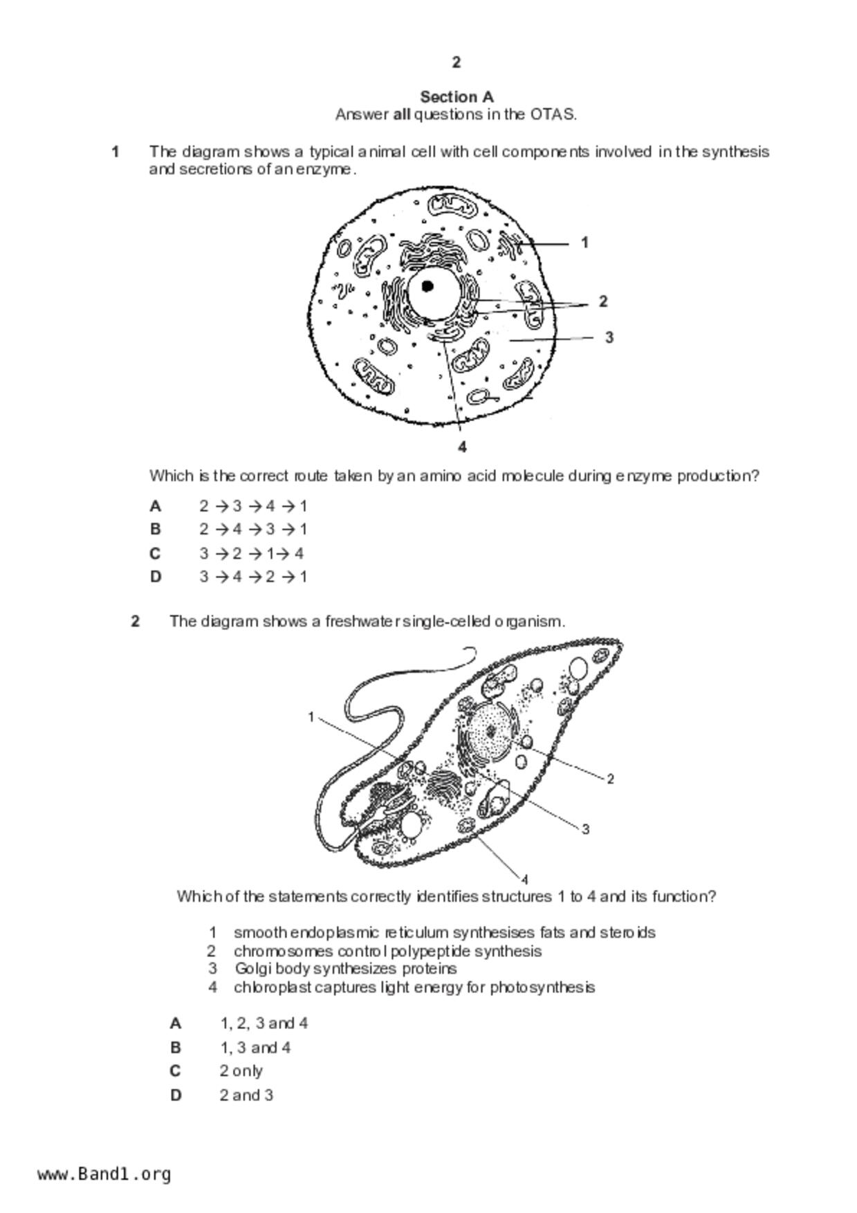 S5Pure Biology試卷