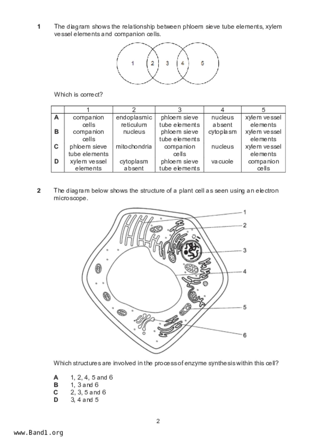 S5Pure Biology試卷