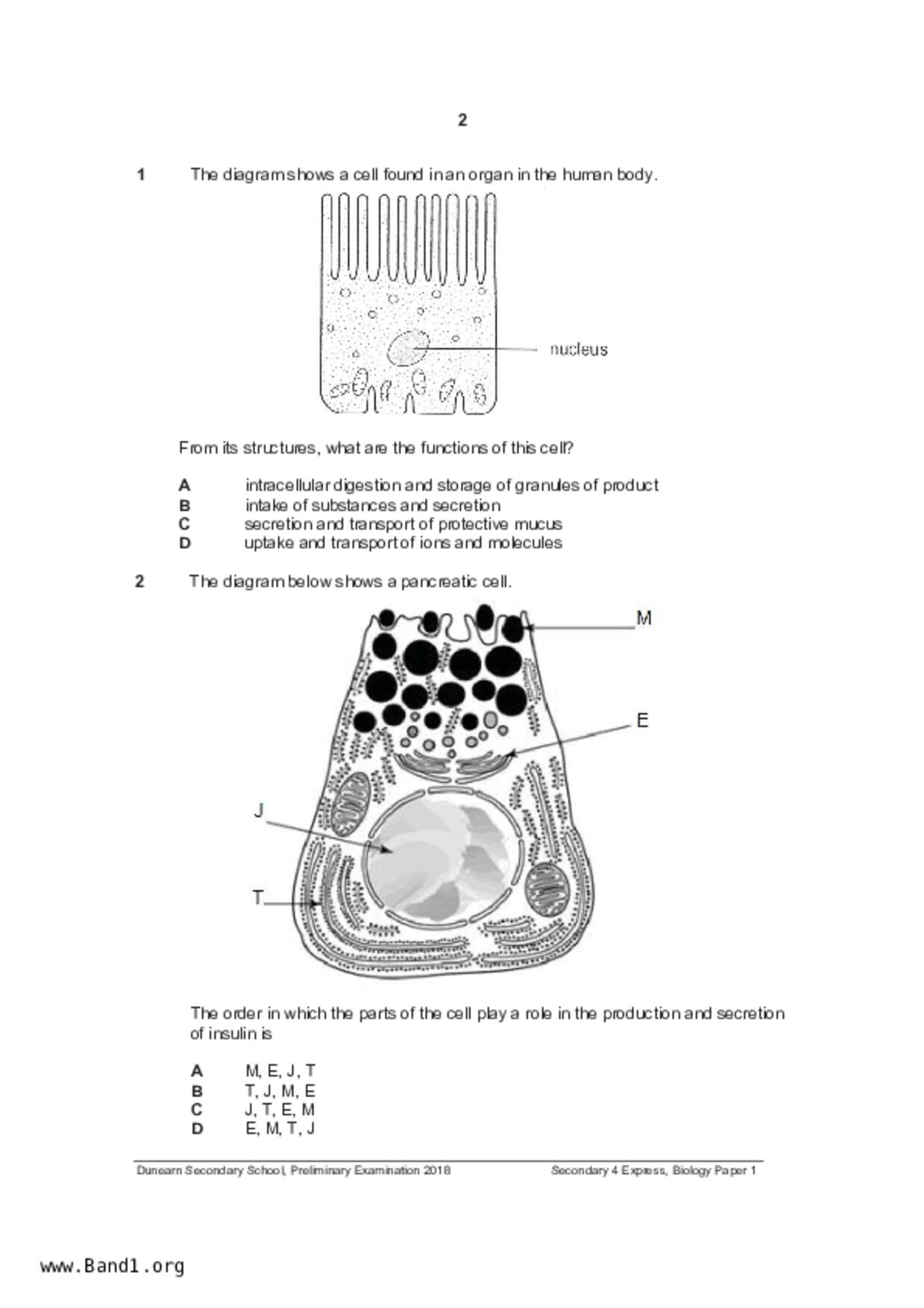 S5Pure Biology試卷