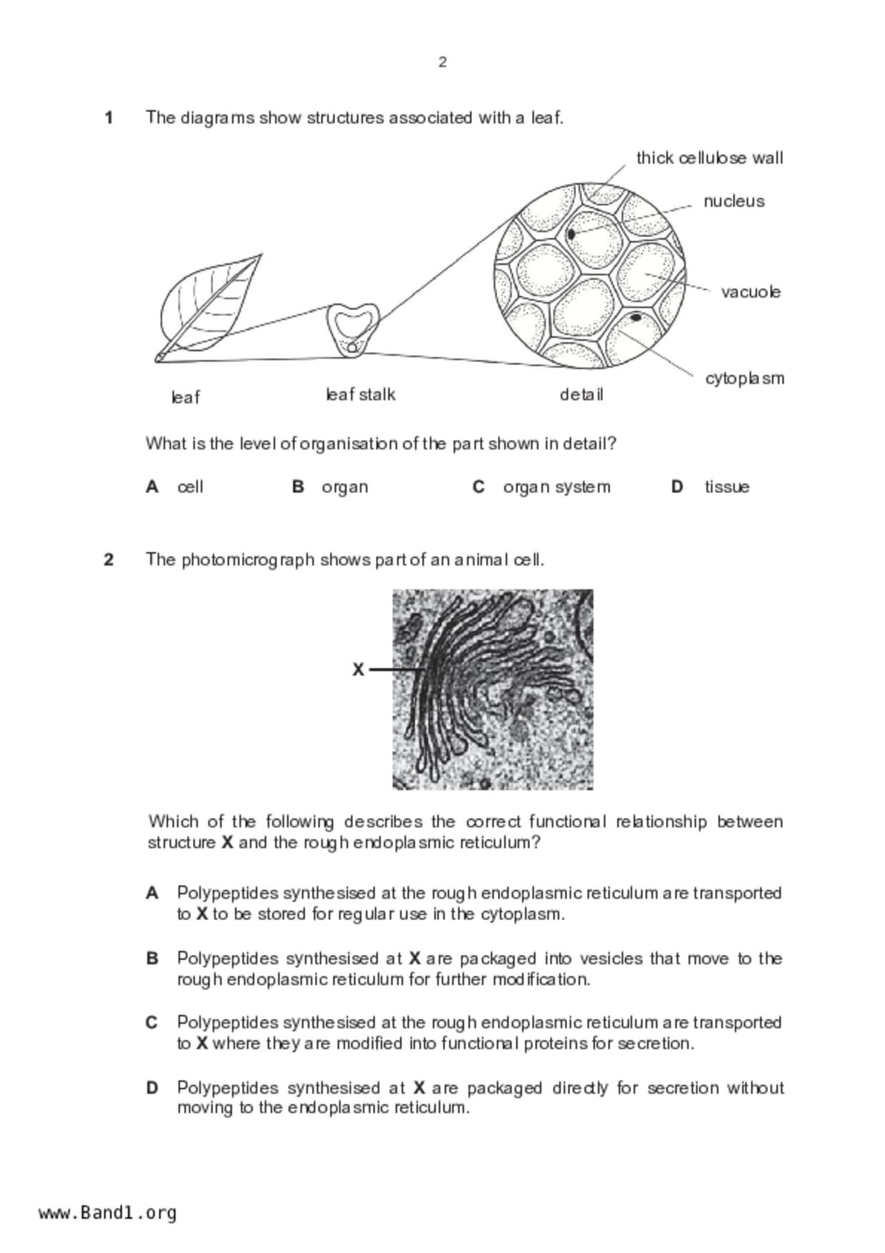 S5Pure Biology試卷