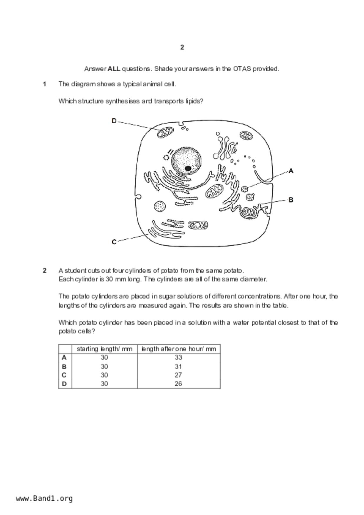 S5Pure Biology試卷