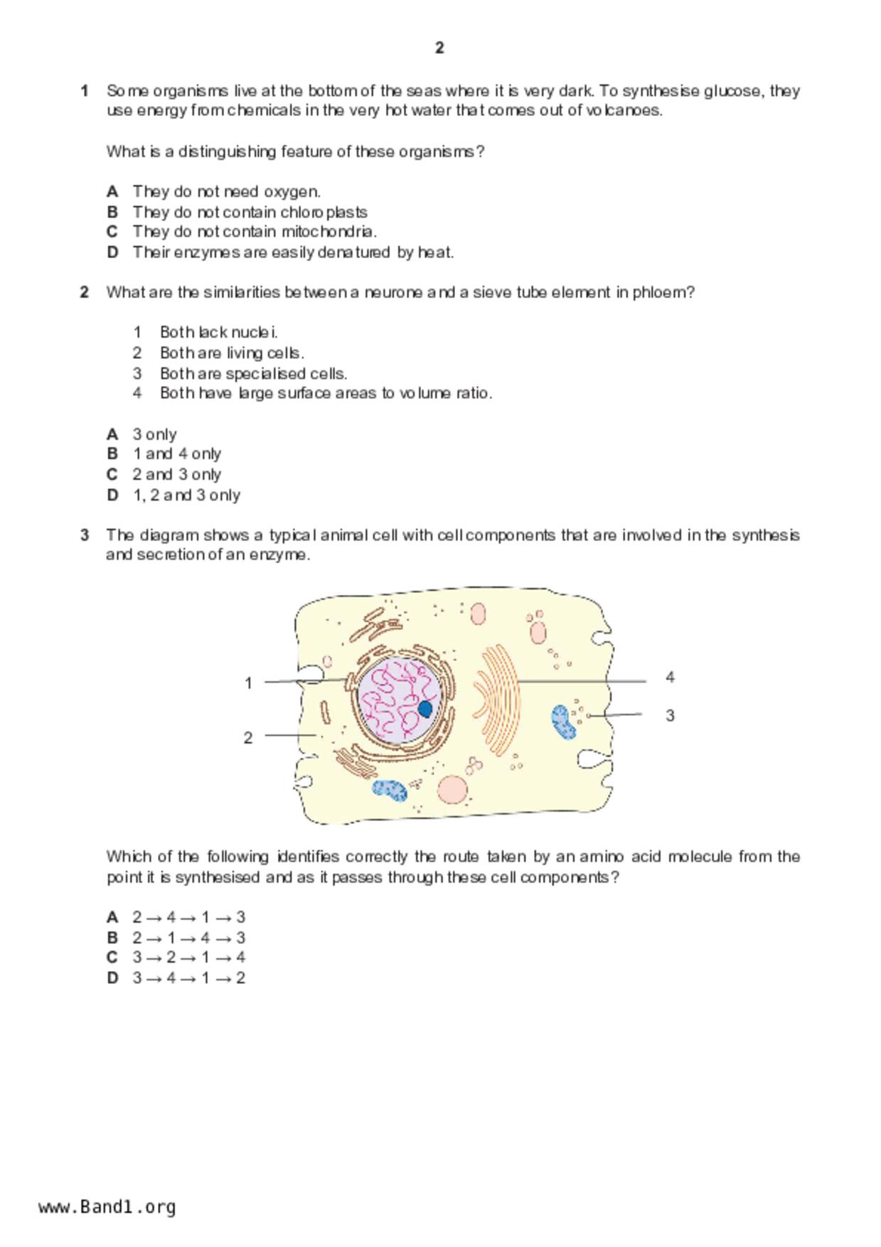 S5Pure Biology試卷