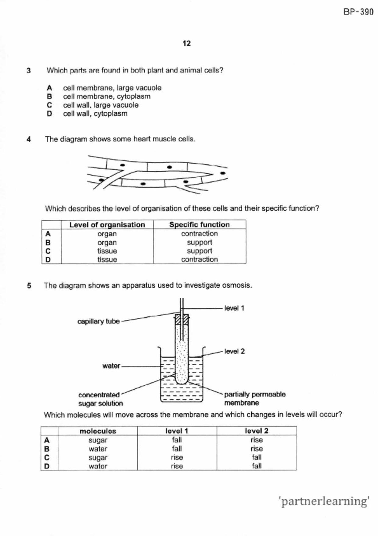 S1Science試卷