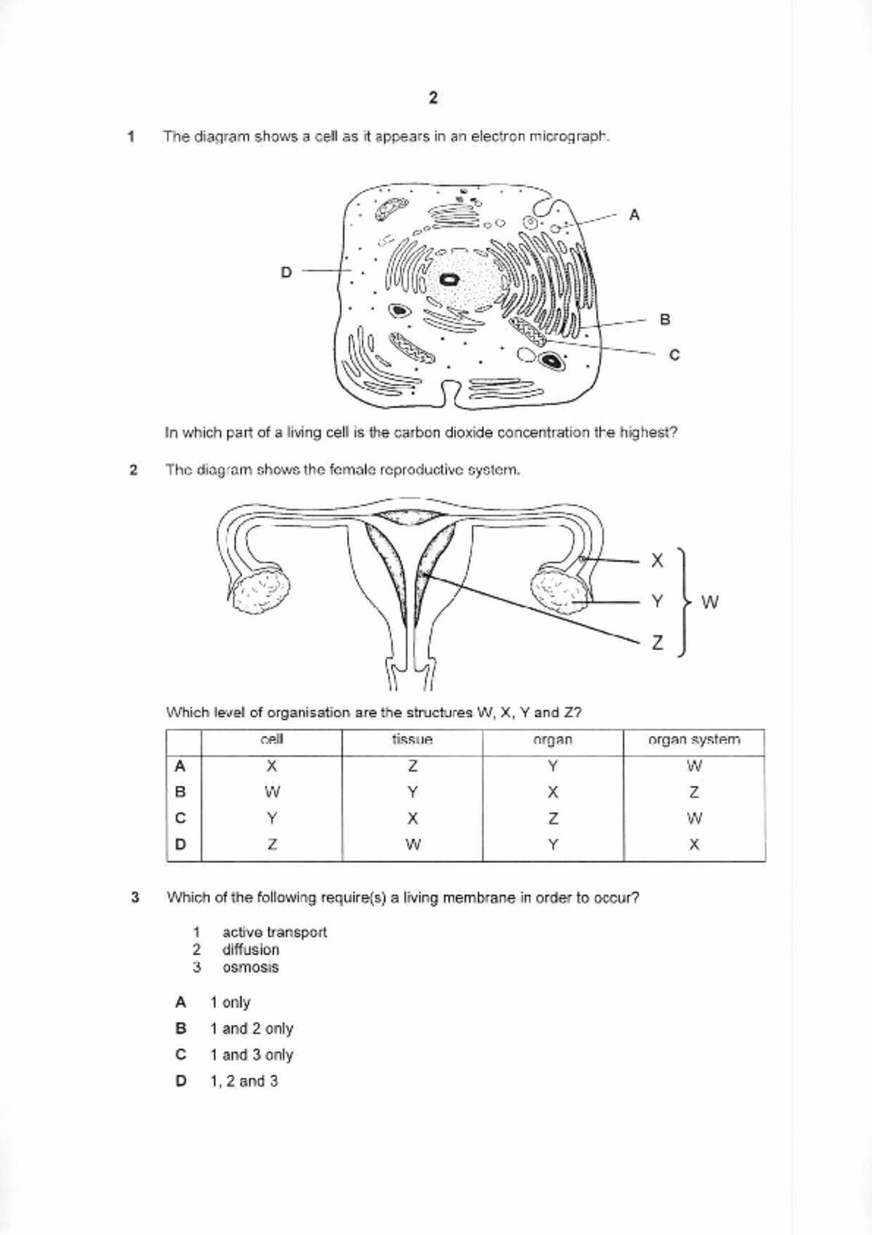 S5Pure Biology試卷