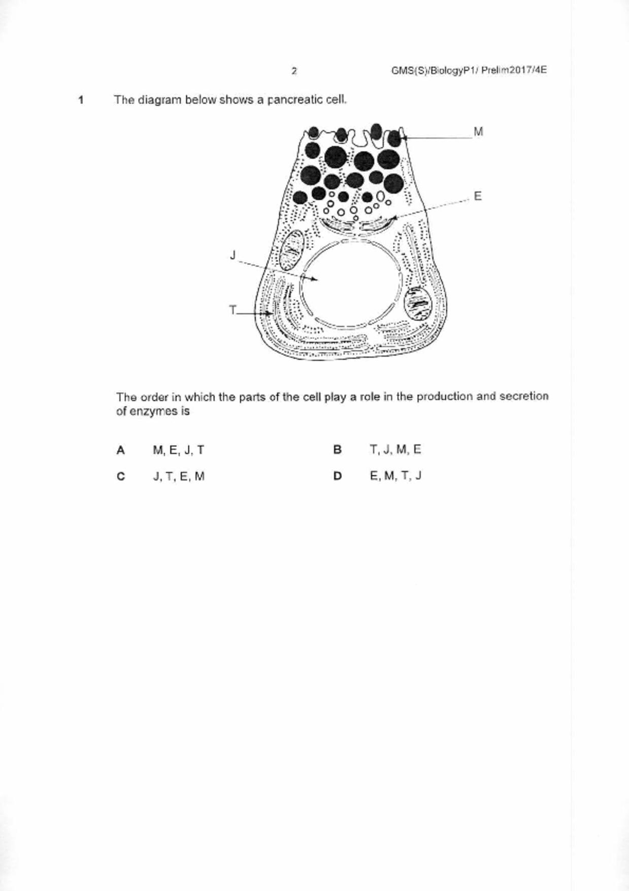 S5Pure Biology試卷
