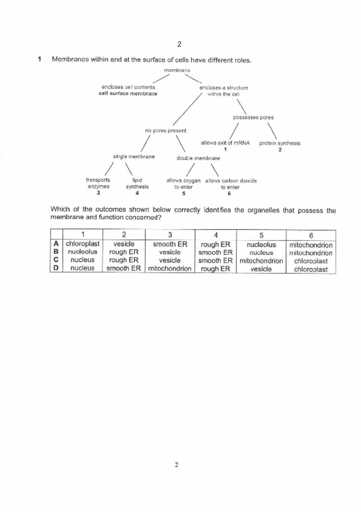 S5Pure Biology試卷