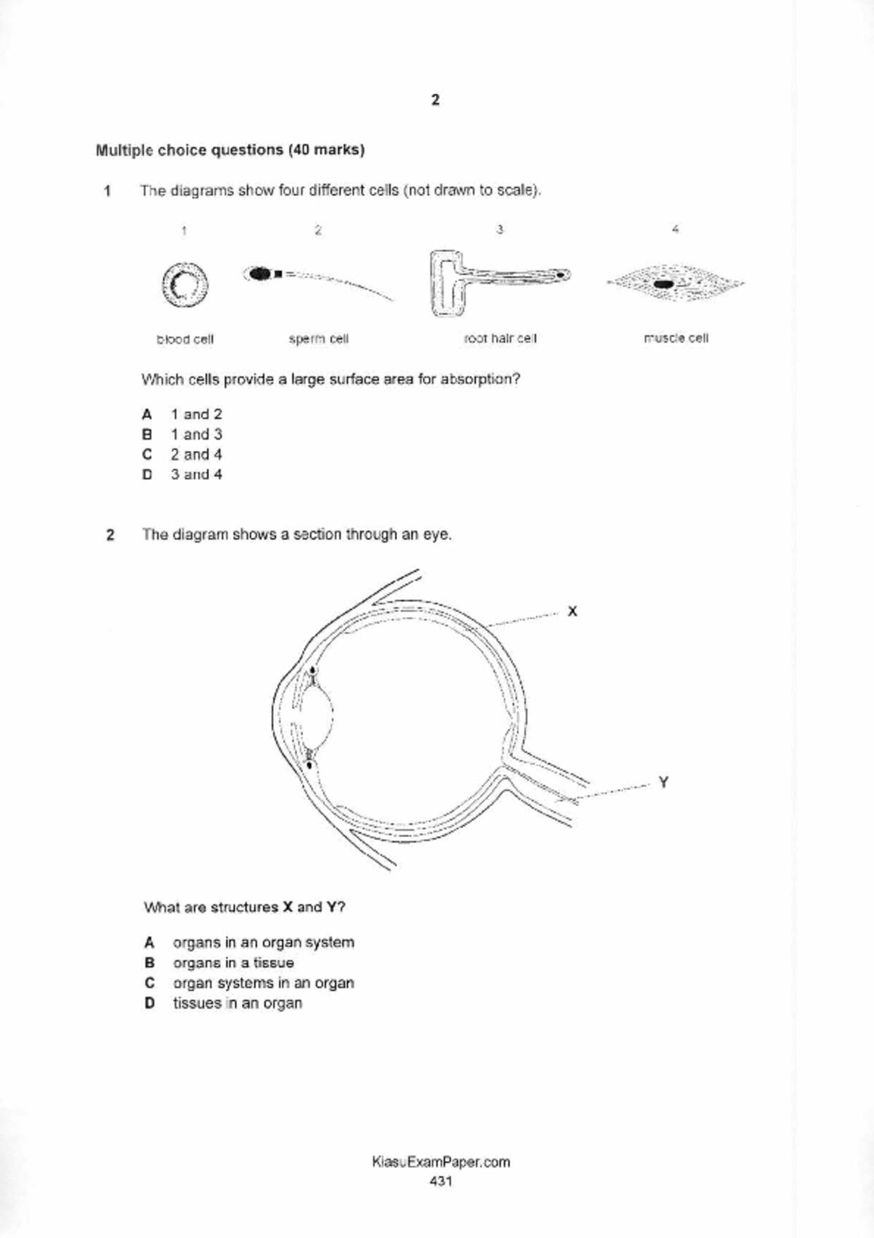 S5Pure Biology試卷