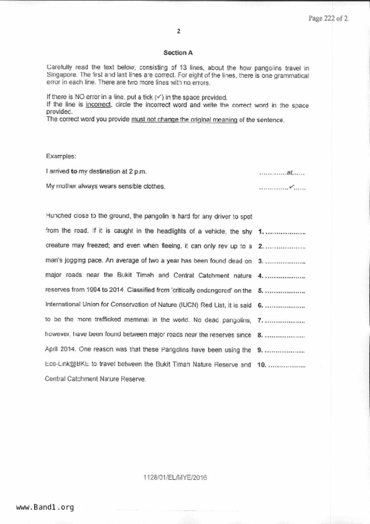 S1English試卷