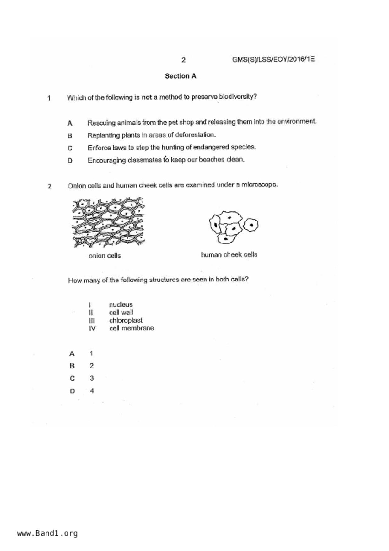 S1Science試卷