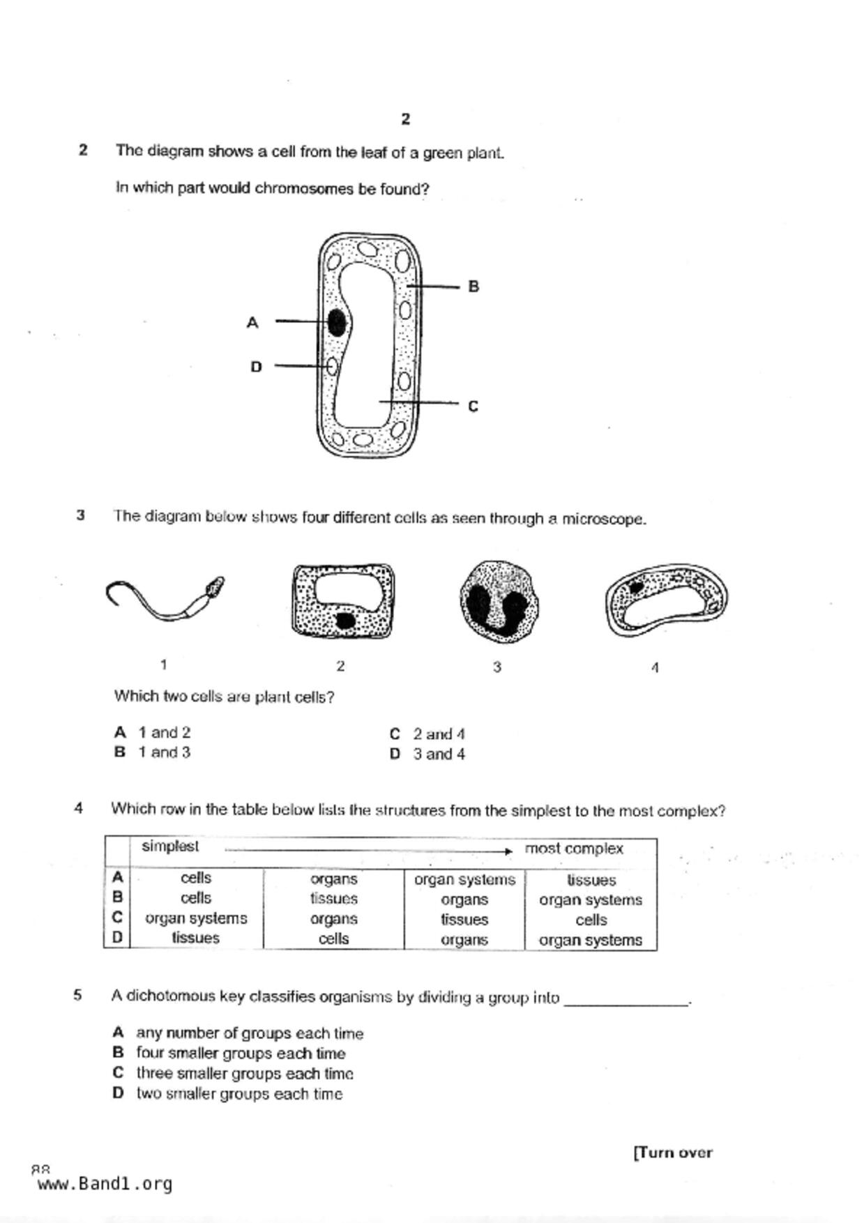 S1Science試卷