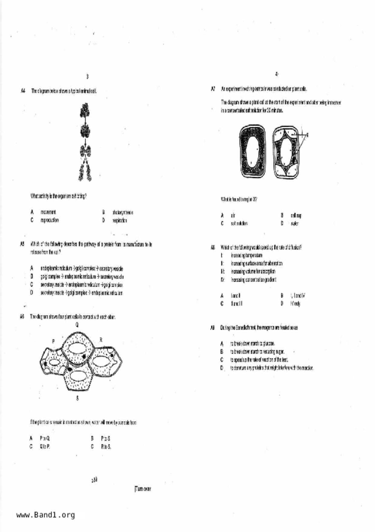 S3Pure Biology試卷