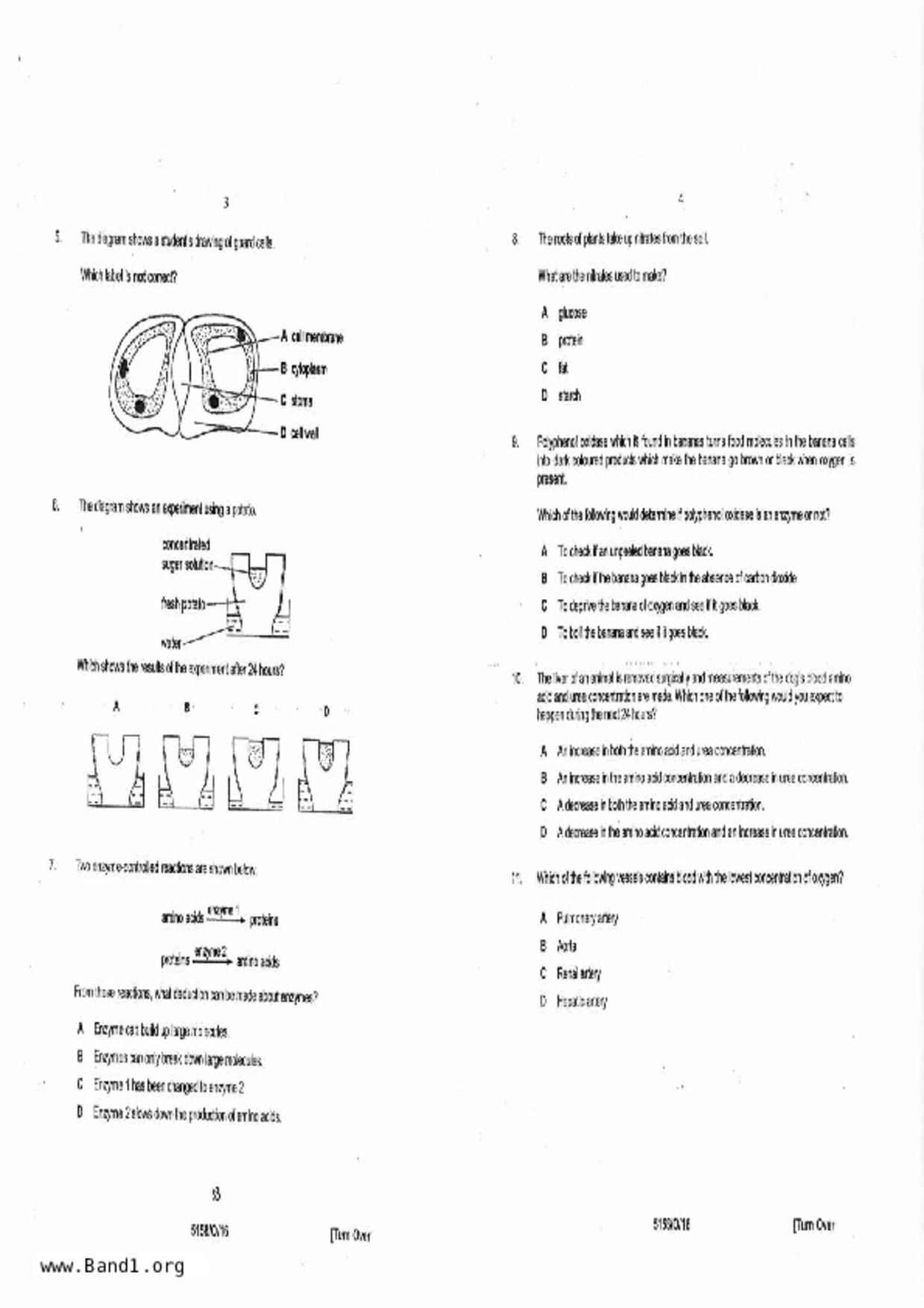 S3Pure Biology試卷