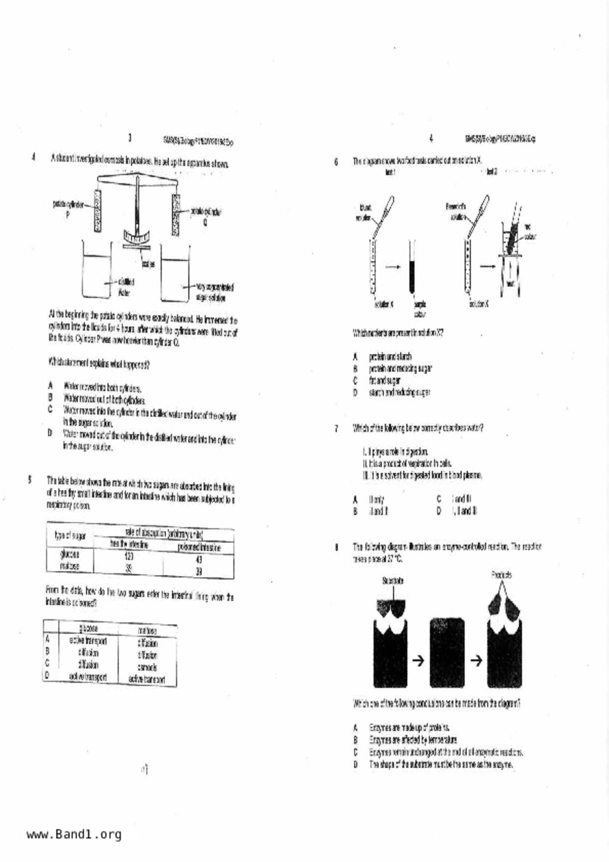 S3Pure Biology試卷