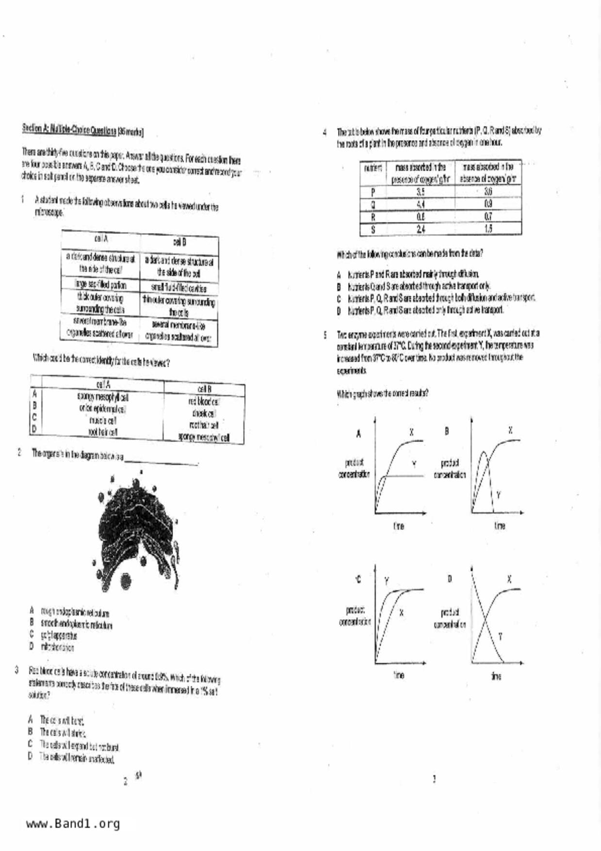 S3Pure Biology試卷