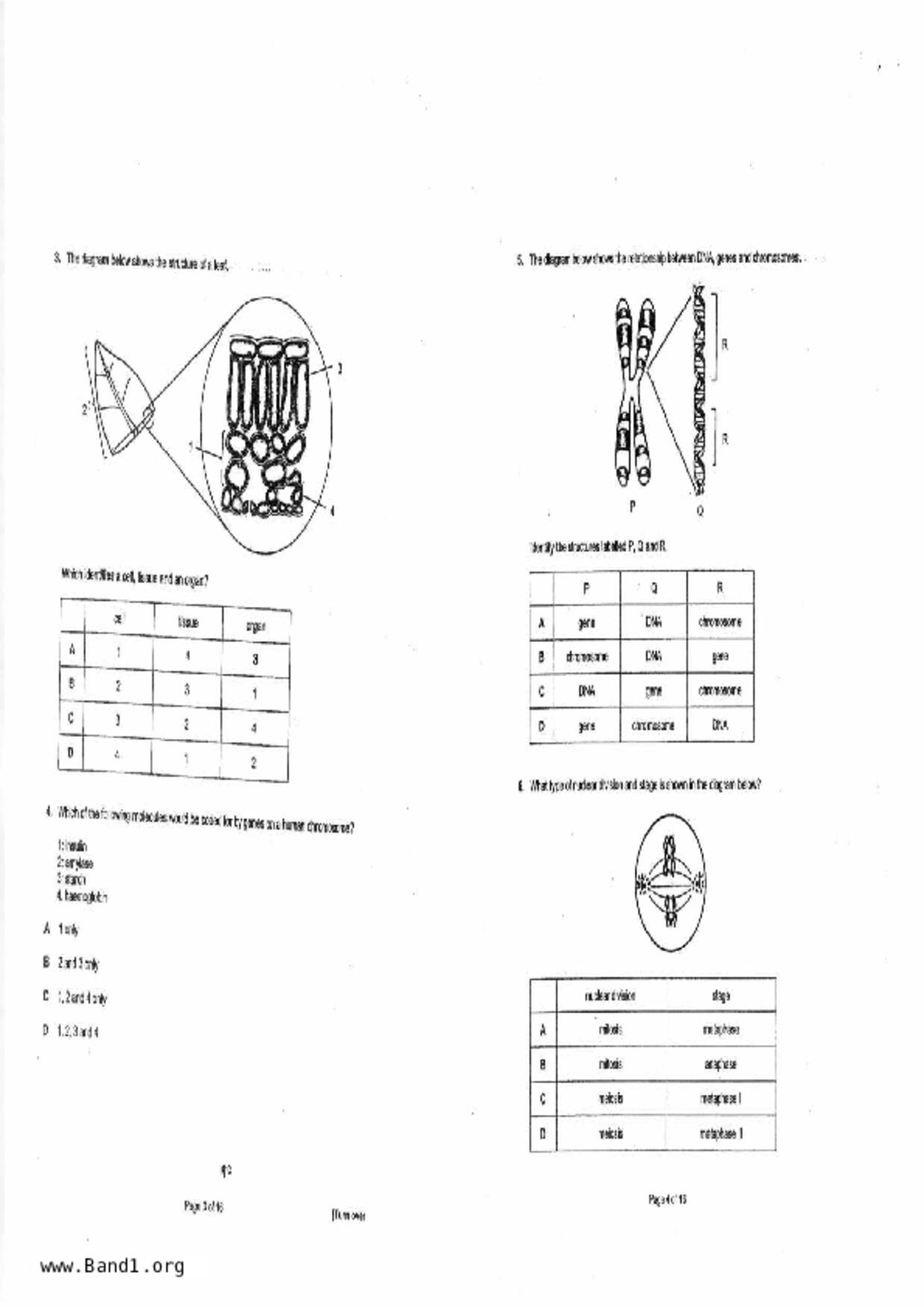 S3Pure Biology試卷