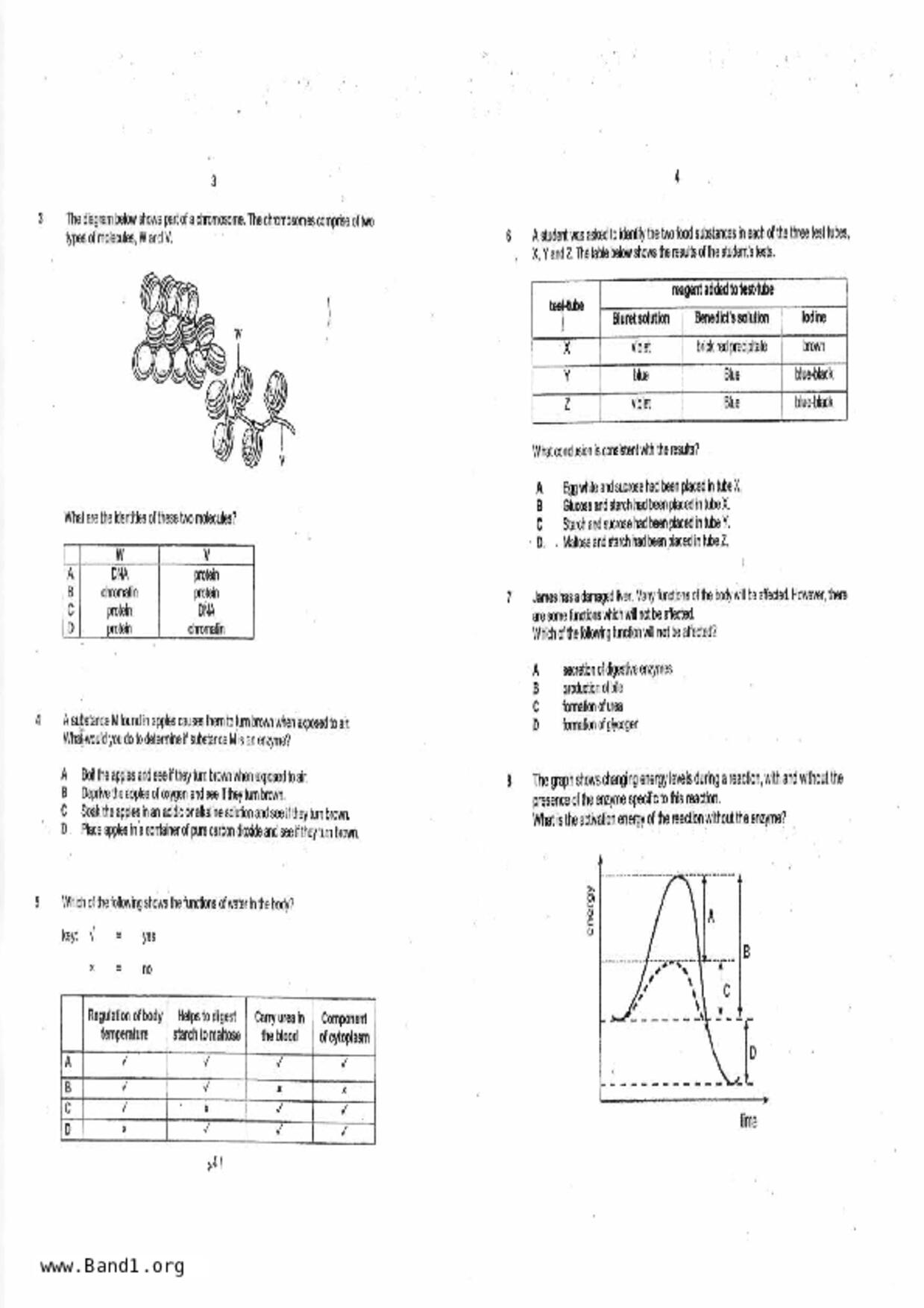 S3Pure Biology試卷