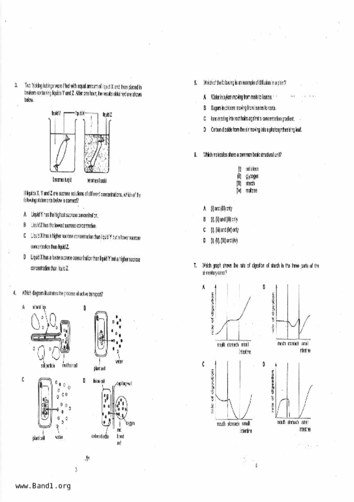 S3Pure Biology試卷
