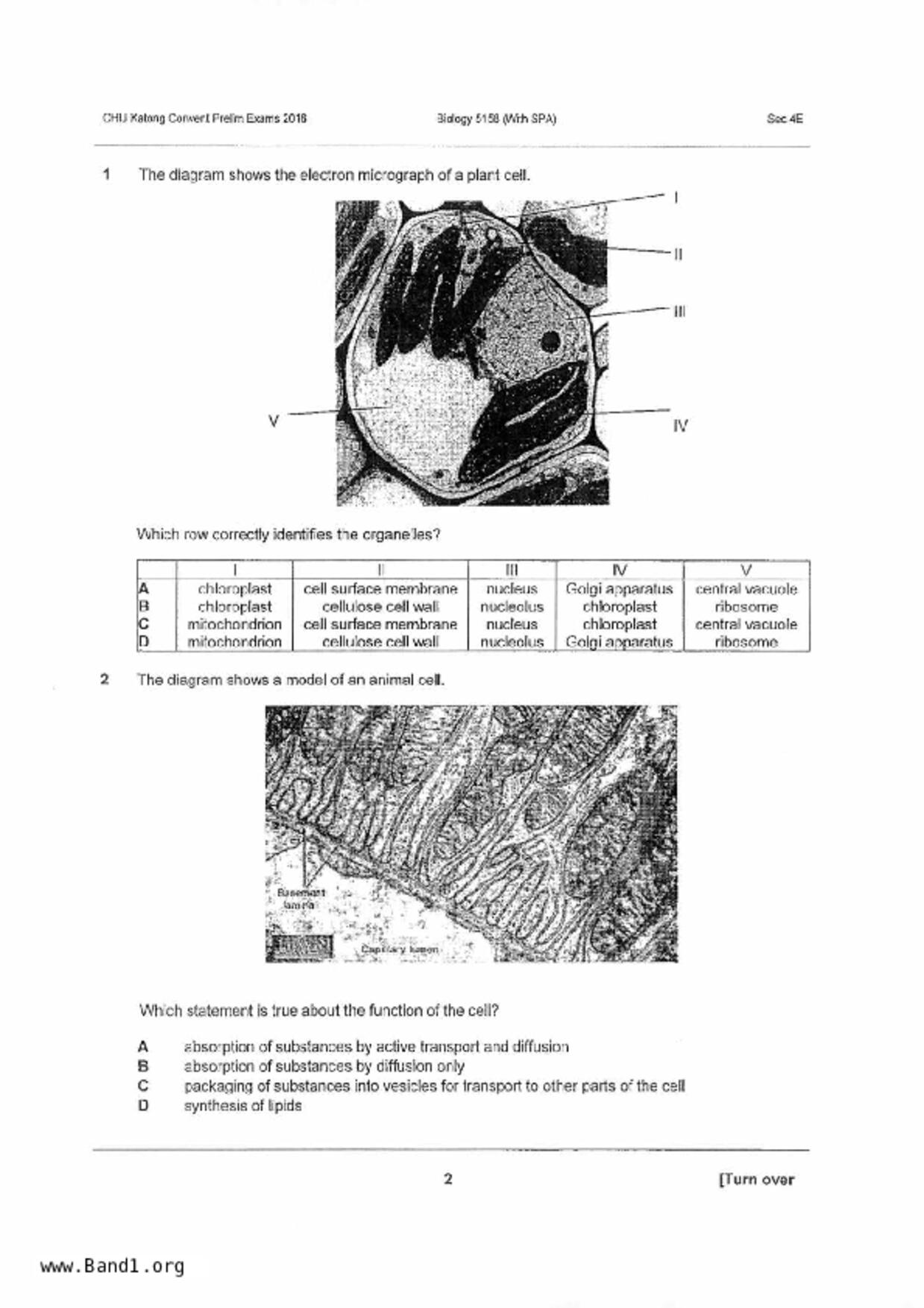 S5Pure Biology試卷