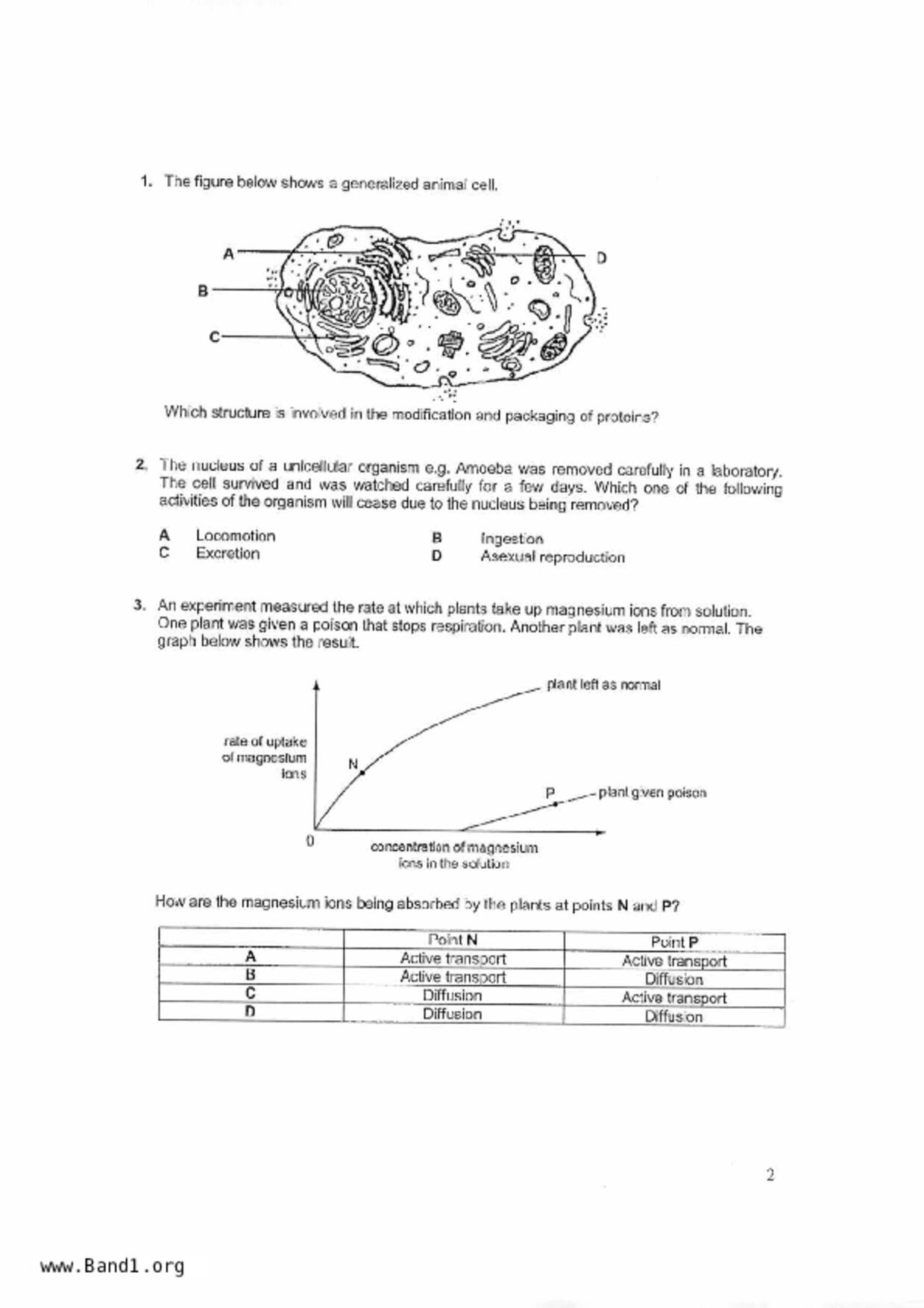 S5Pure Biology試卷