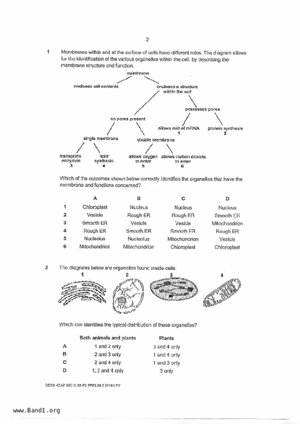 S5Pure Biology試卷