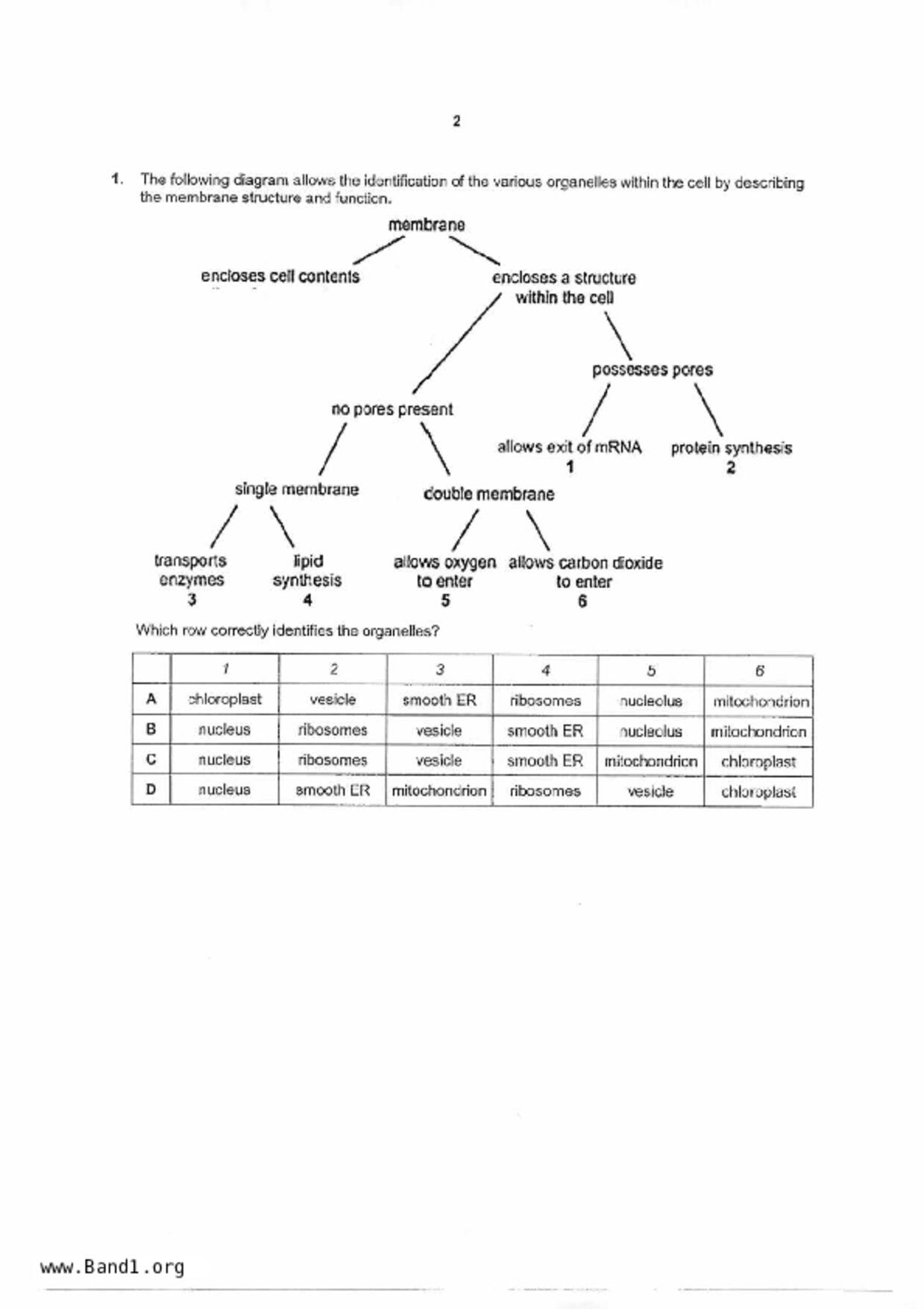S5Pure Biology試卷