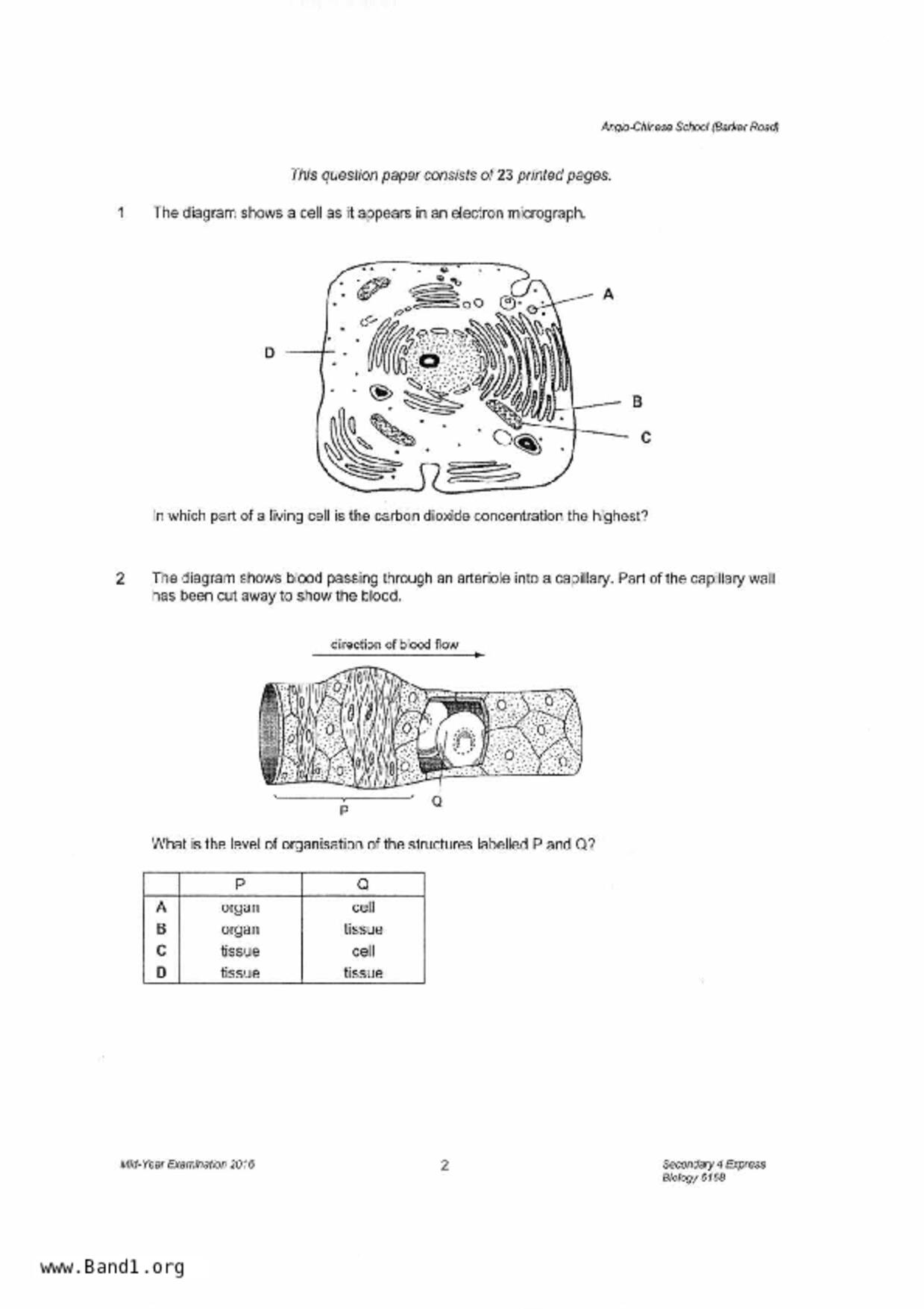 S5Pure Biology試卷