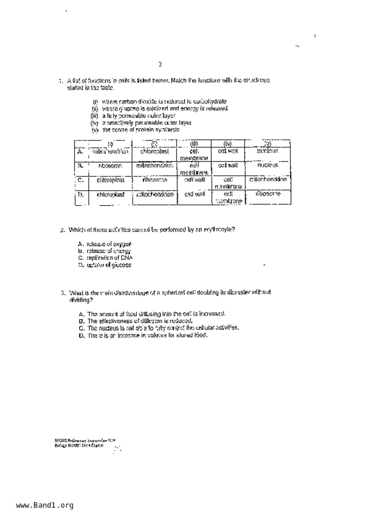 S5Pure Biology試卷