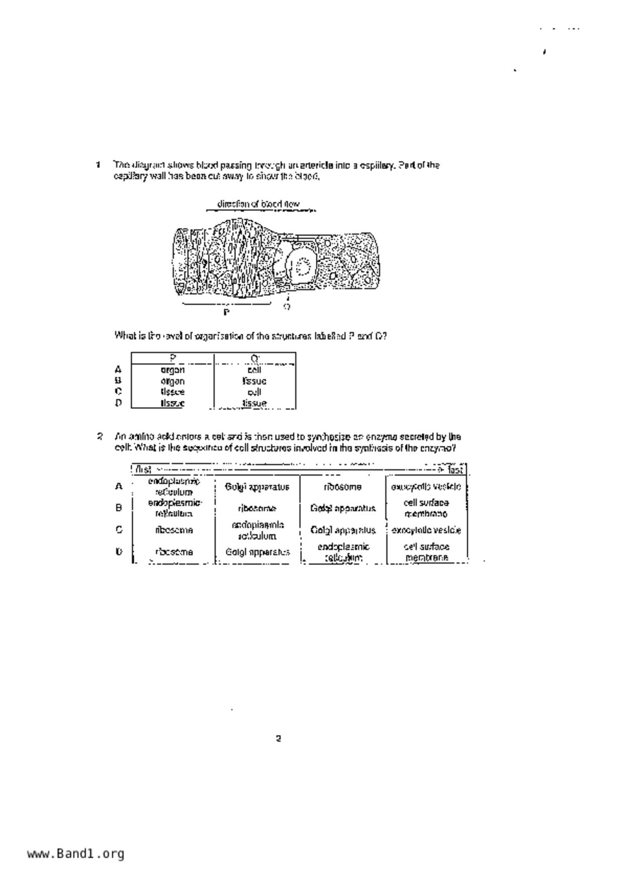 S5Pure Biology試卷
