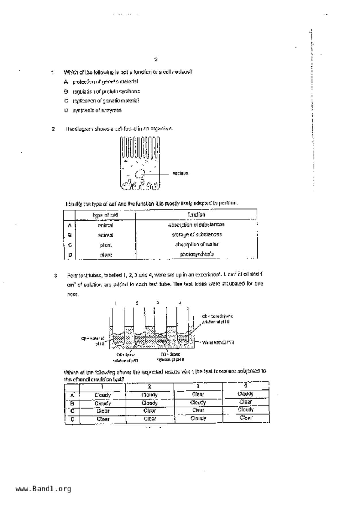 S5Pure Biology試卷