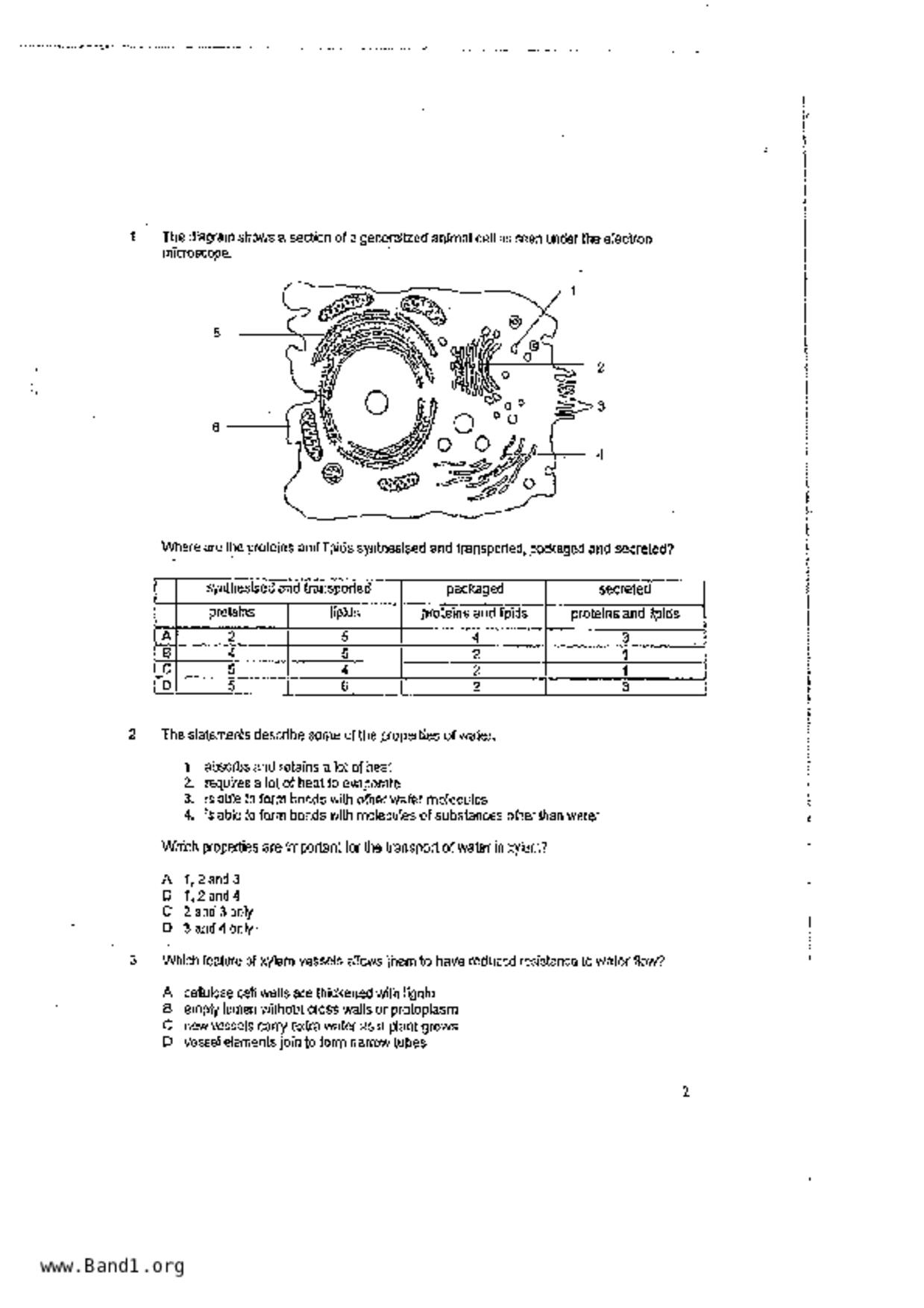 S5Pure Biology試卷