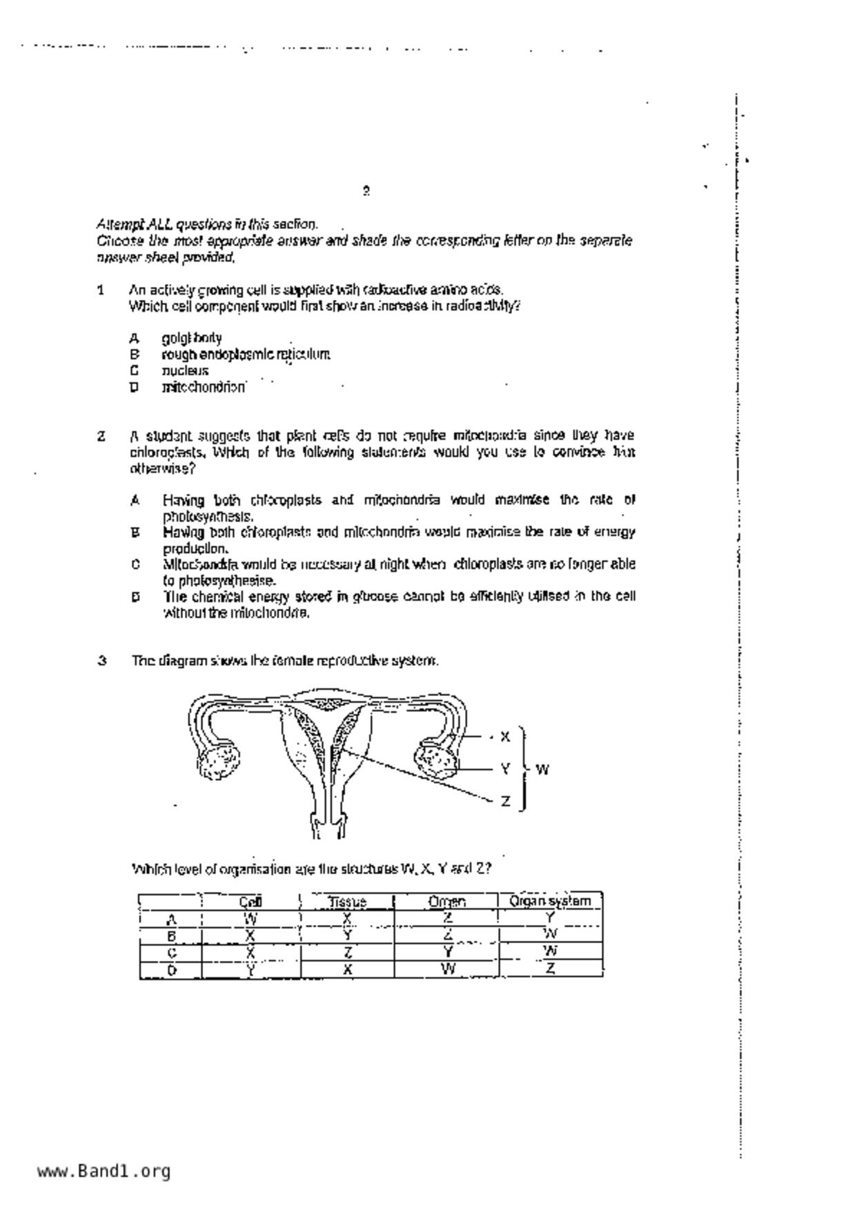 S5Pure Biology試卷