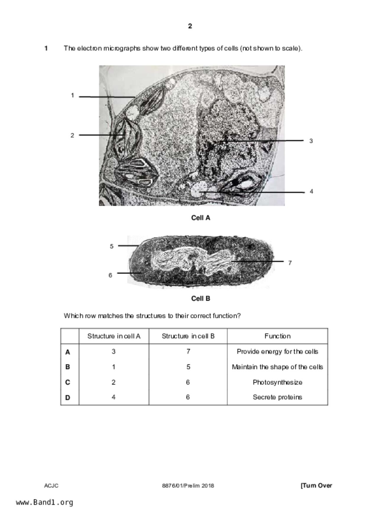 JC2Biology試卷