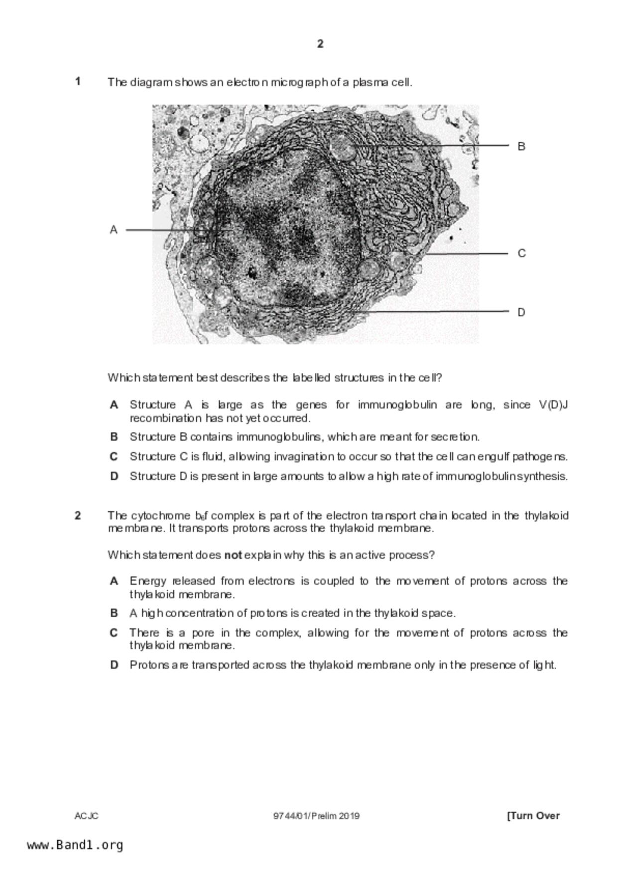 JC2Biology試卷