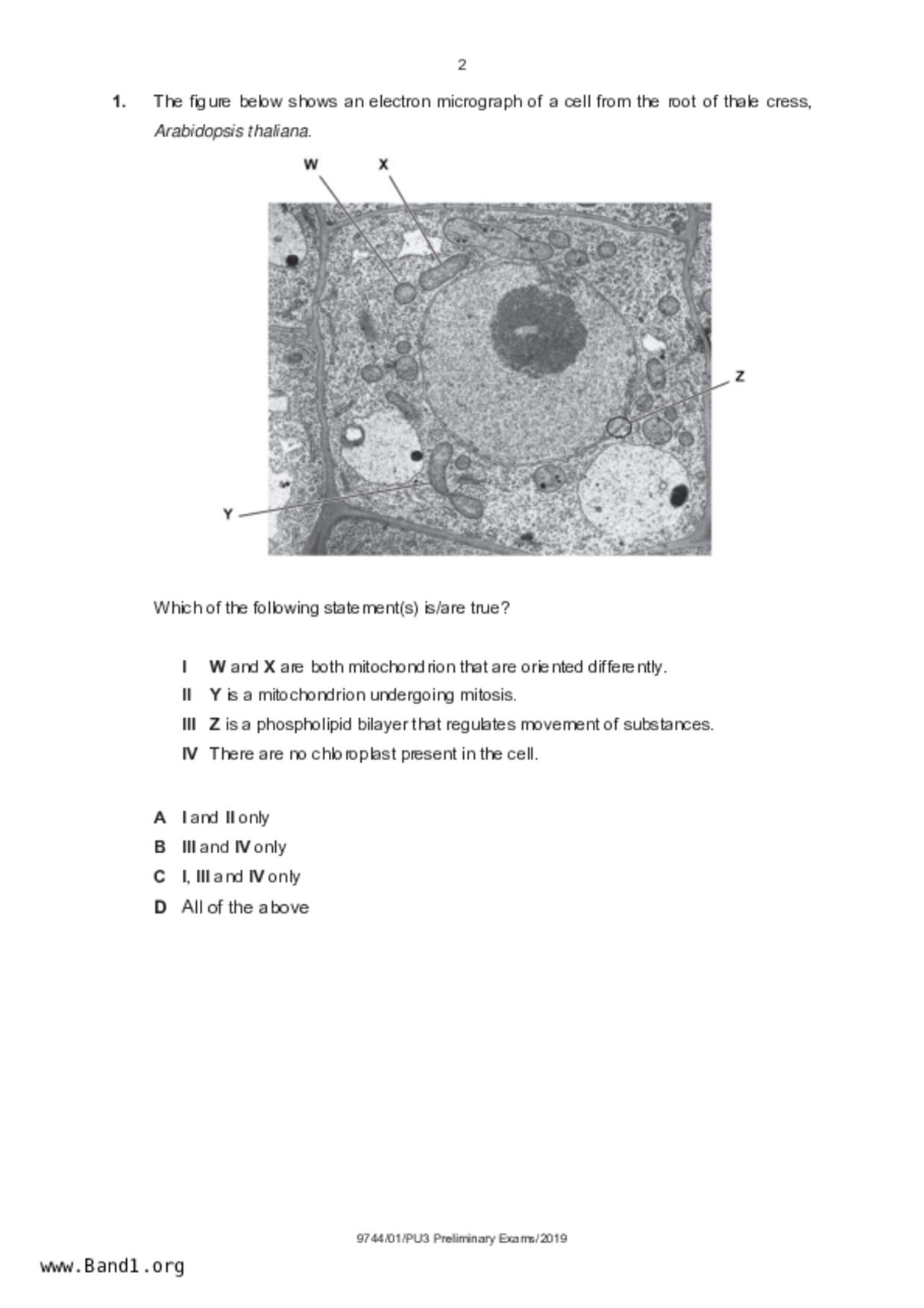 JC2Biology試卷