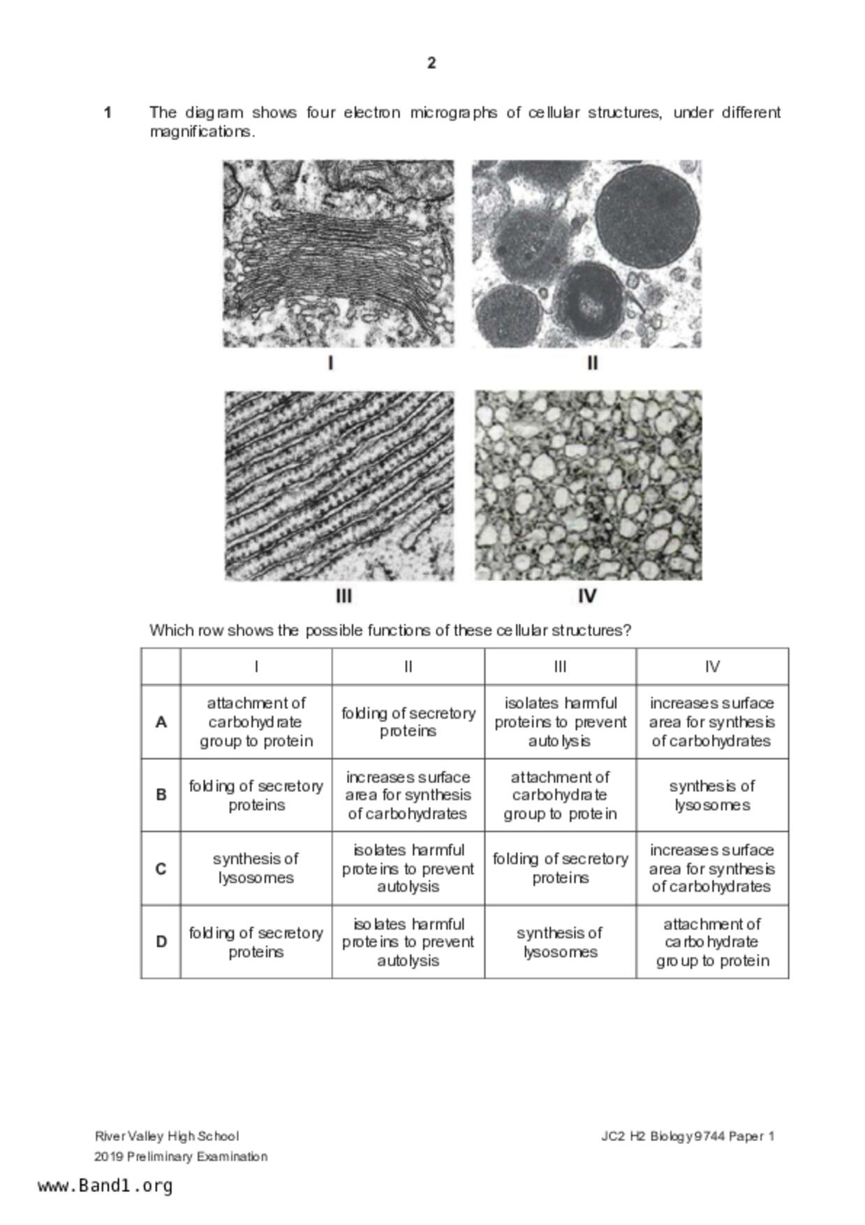 JC2Biology試卷