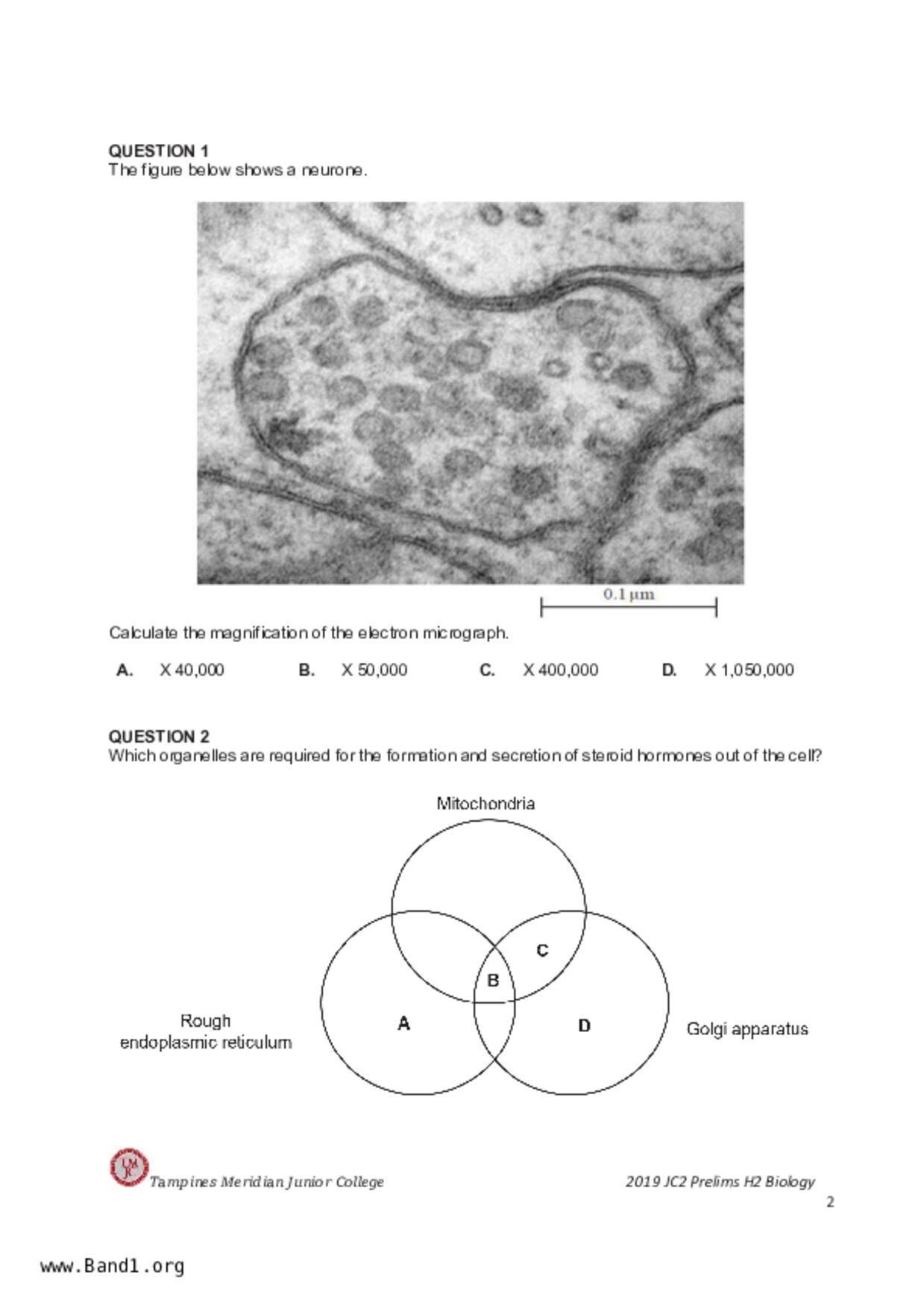 JC2Biology試卷