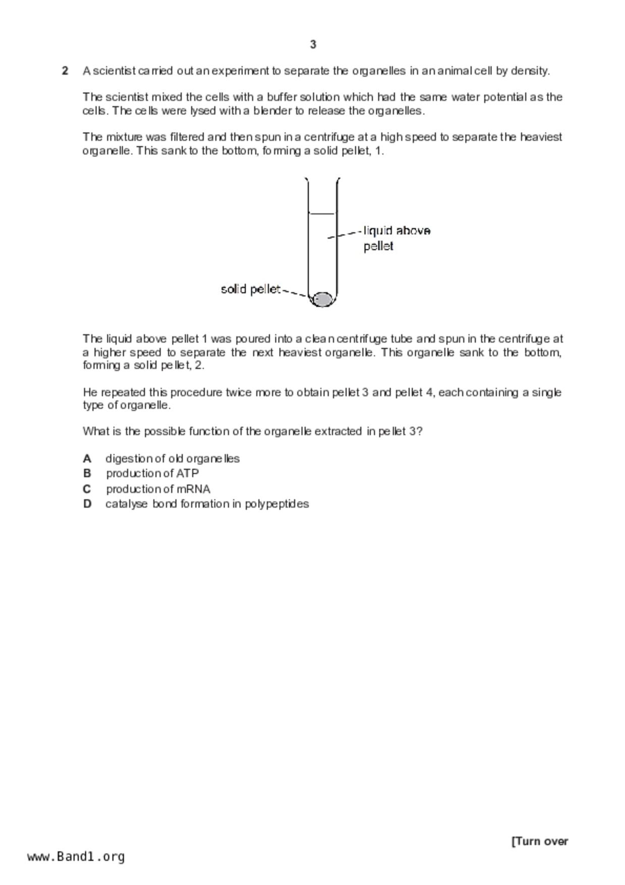 JC2Biology試卷