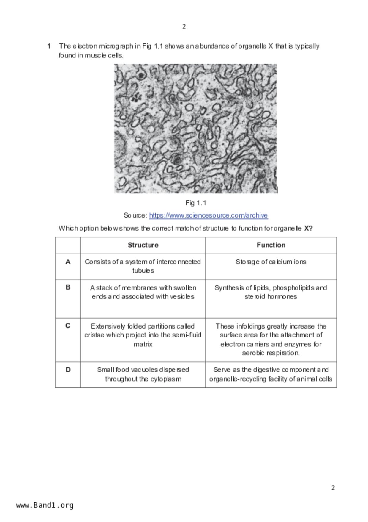 JC2Biology試卷