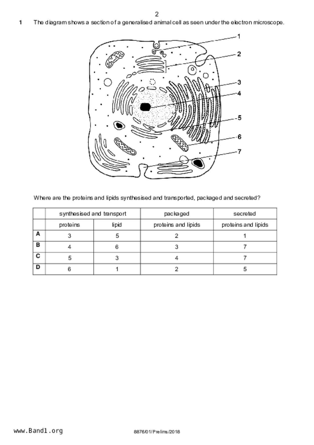 JC2Biology試卷