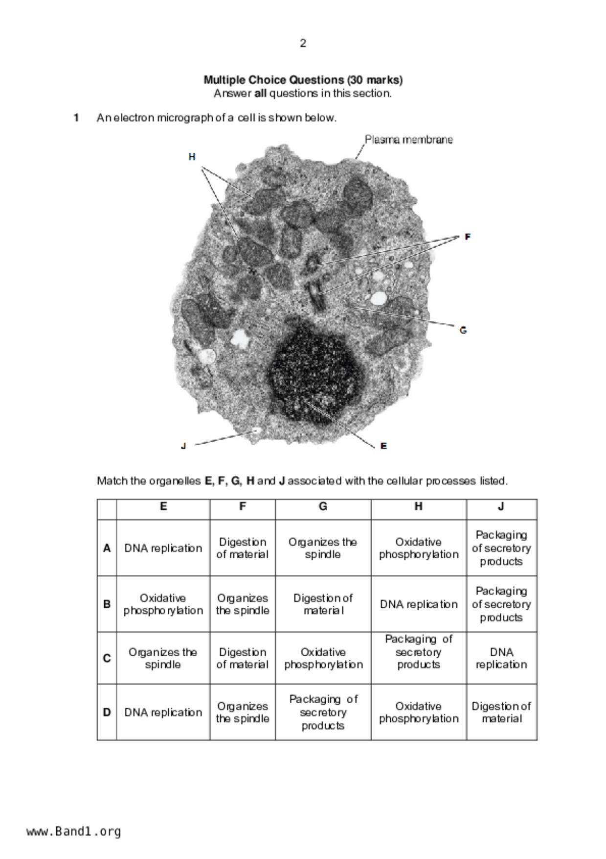 JC2Biology試卷