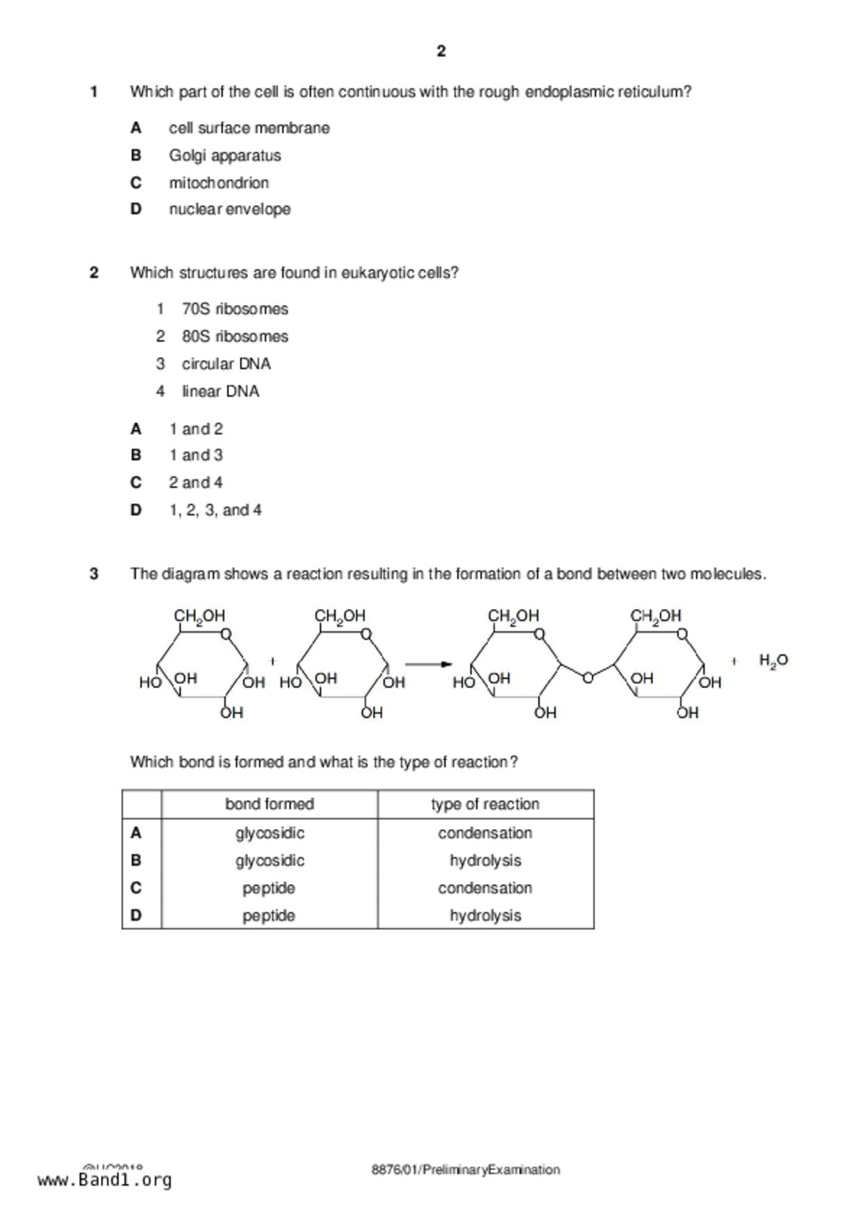 JC2Biology試卷